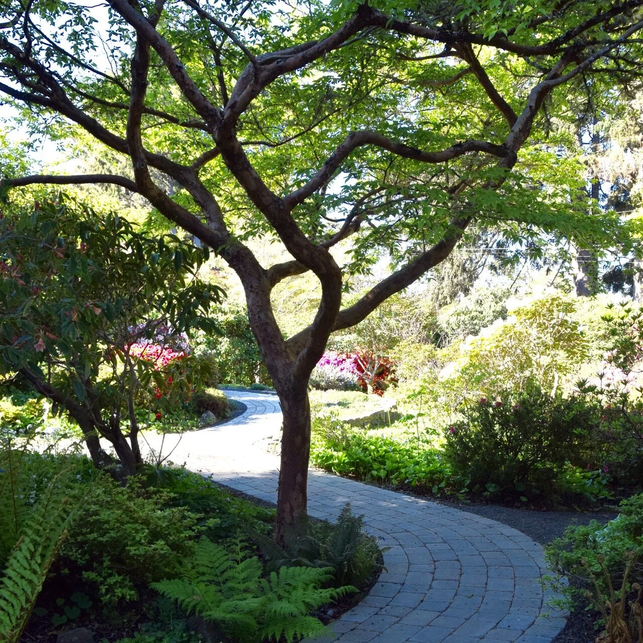 Gardens - 2.jpg