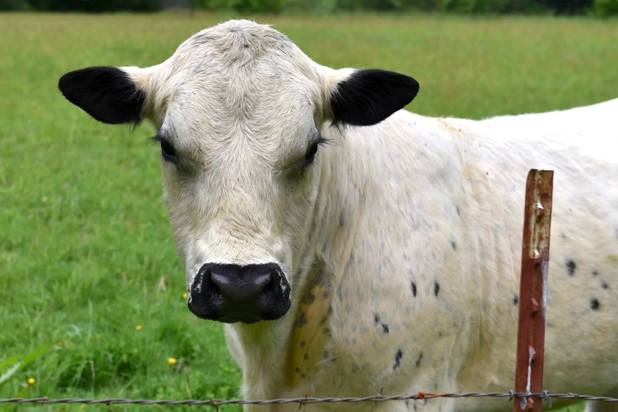 Join the farm league