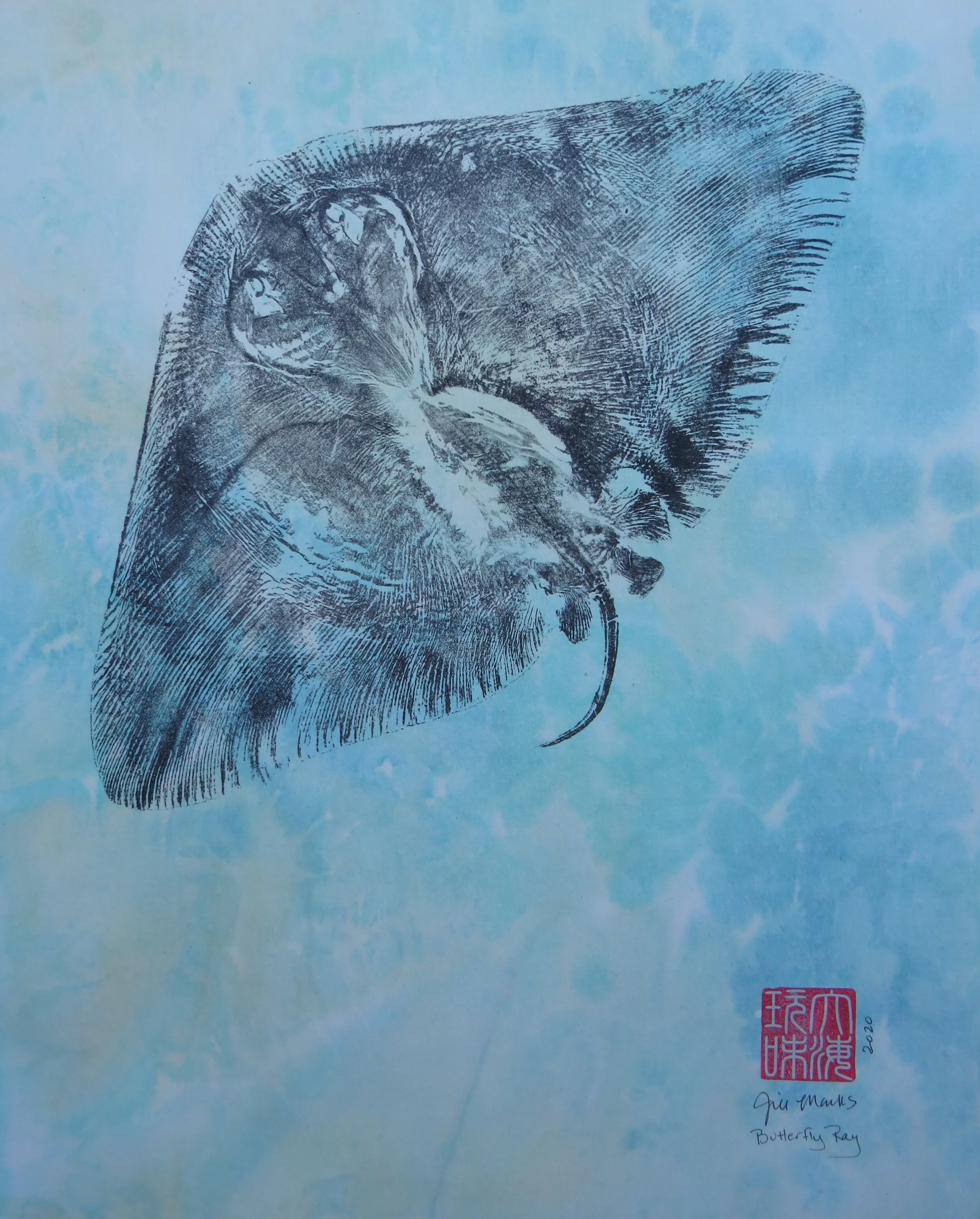 Jill marks.Butterfly Ray.JPG