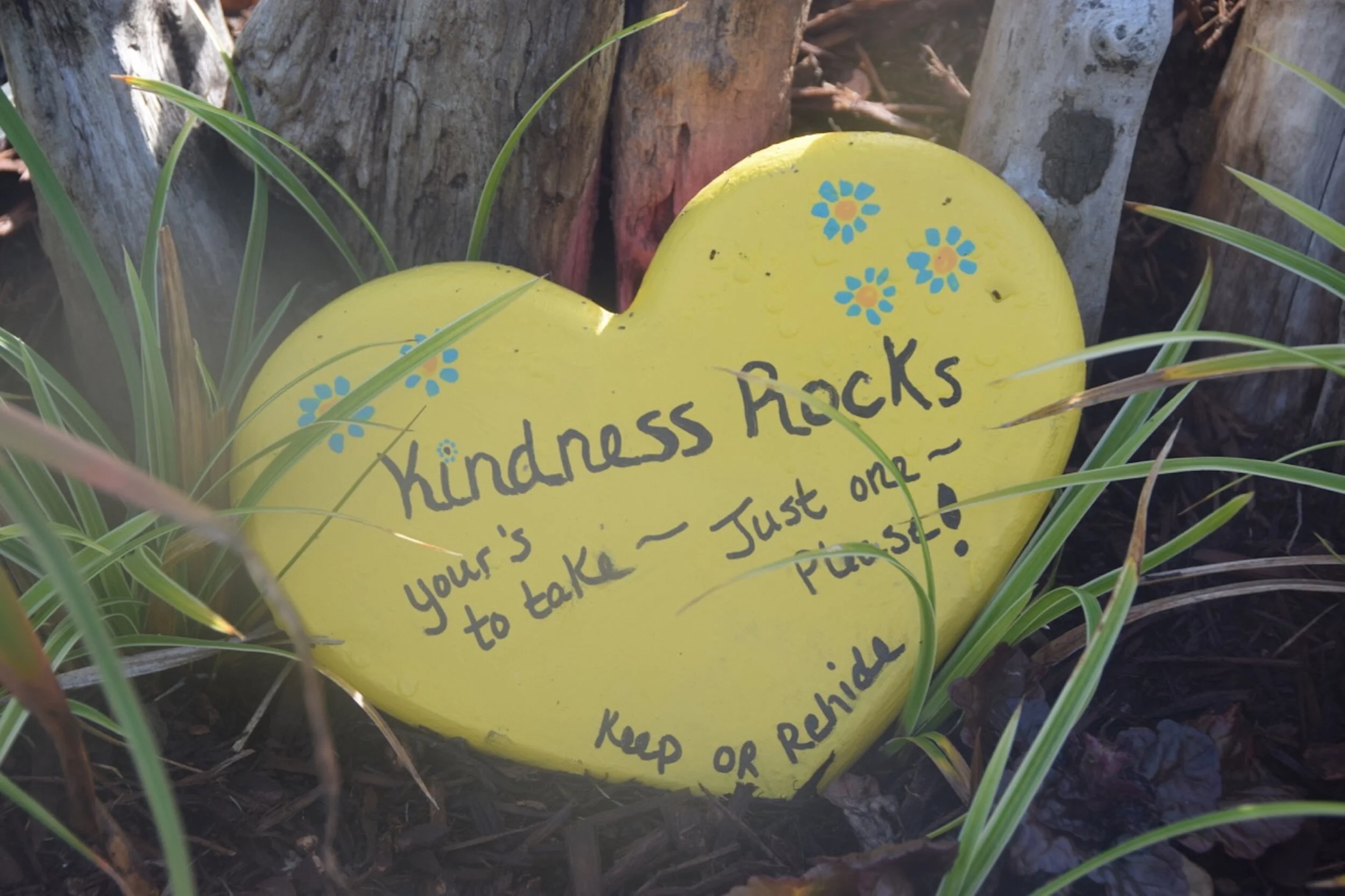 Kindness rocks - 1.jpg