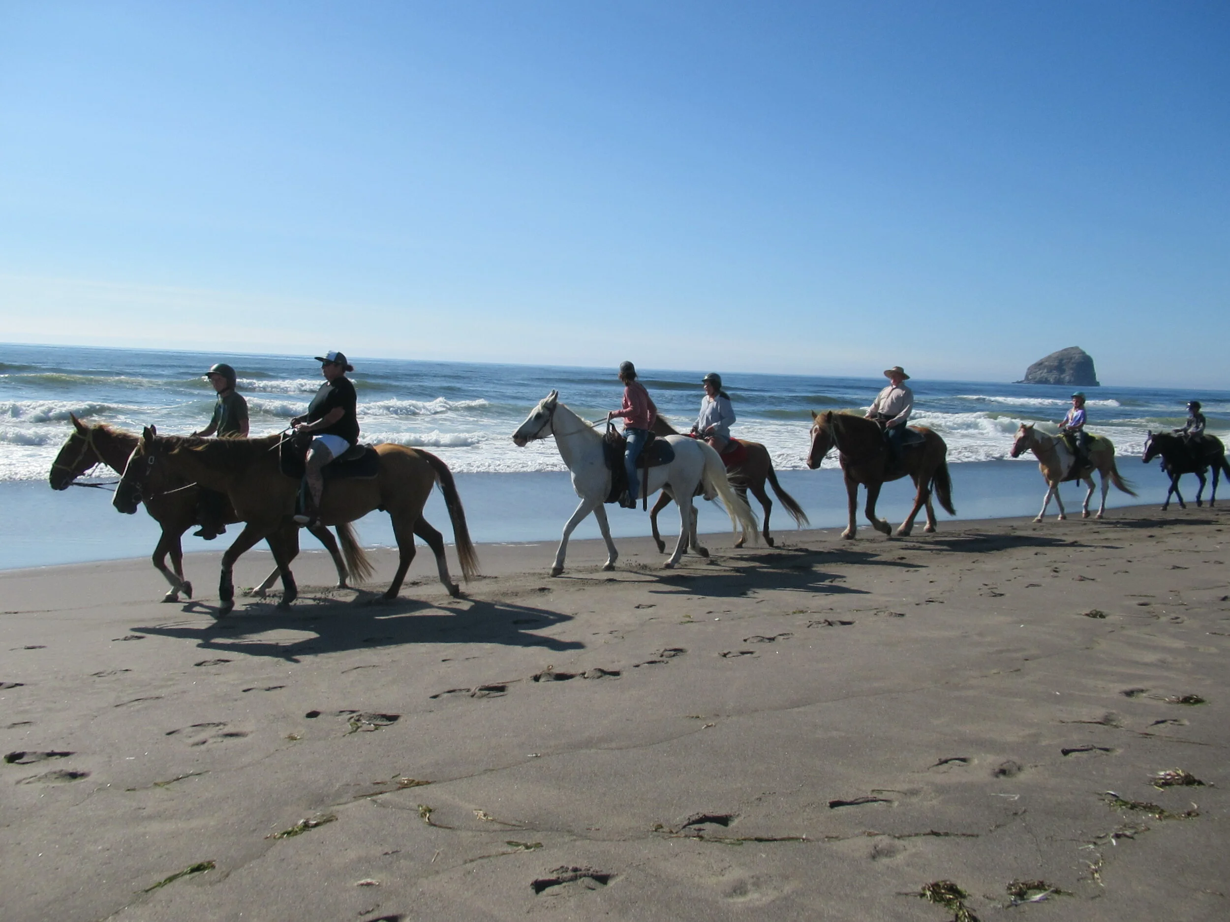 IMG_8861=Horses on Beach.JPG