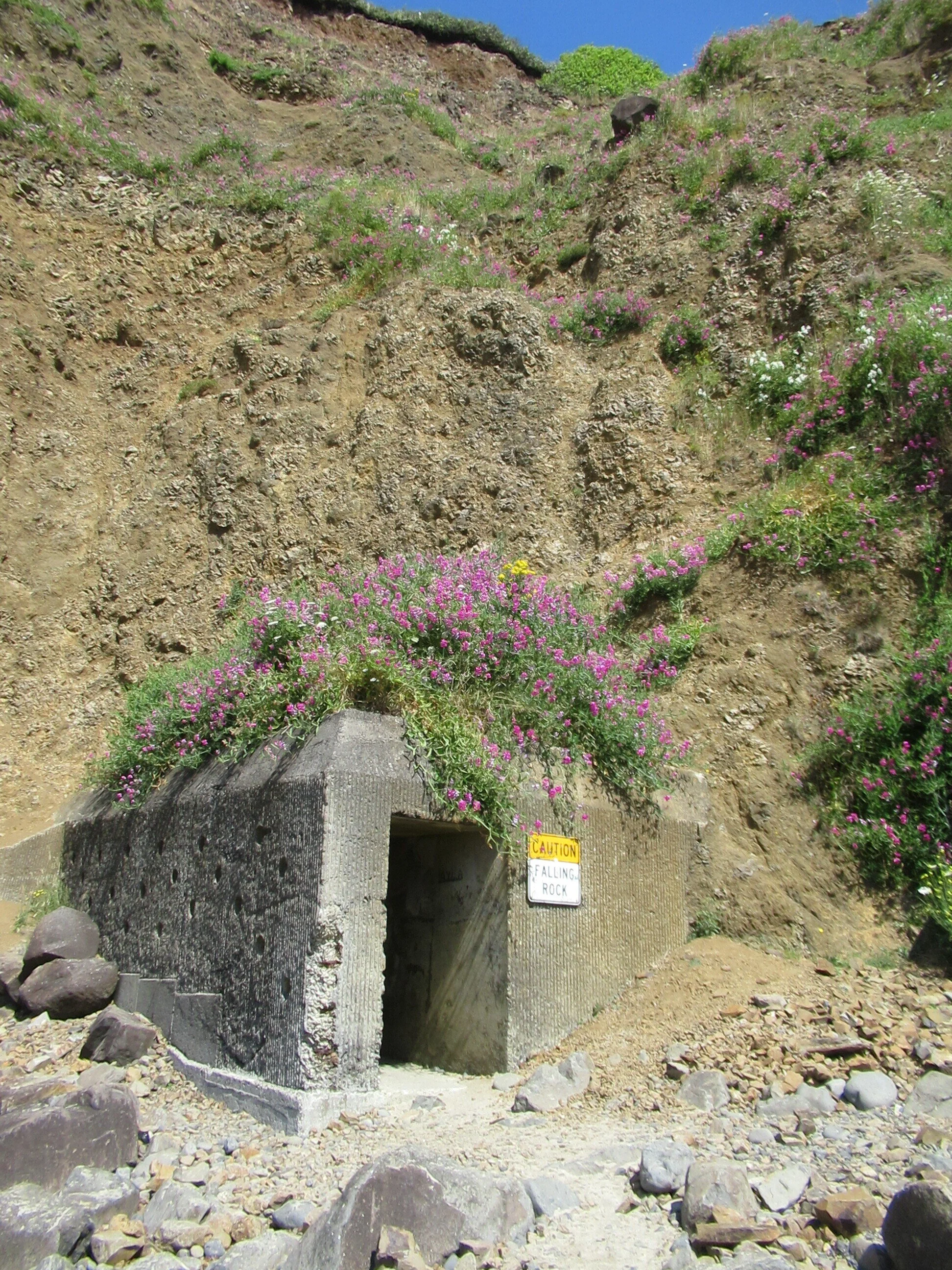Detour No. 5 Tunnel Beach — Oregon Coast TODAY