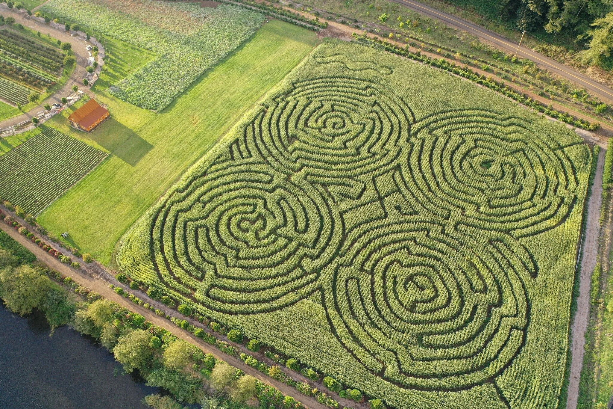 Kilchis Pumpkin Patch 2.jpg