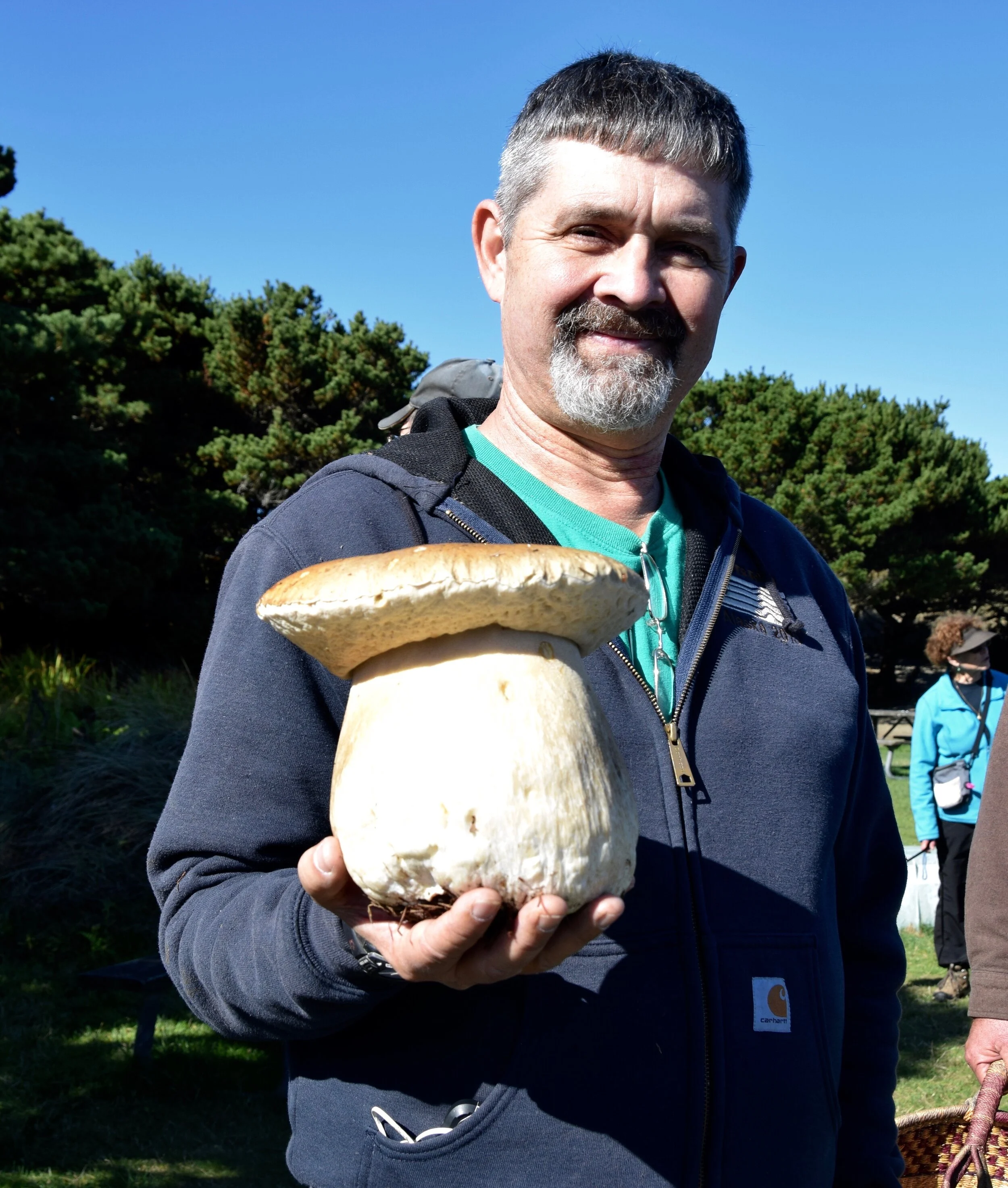 The return of fall spore-ts 