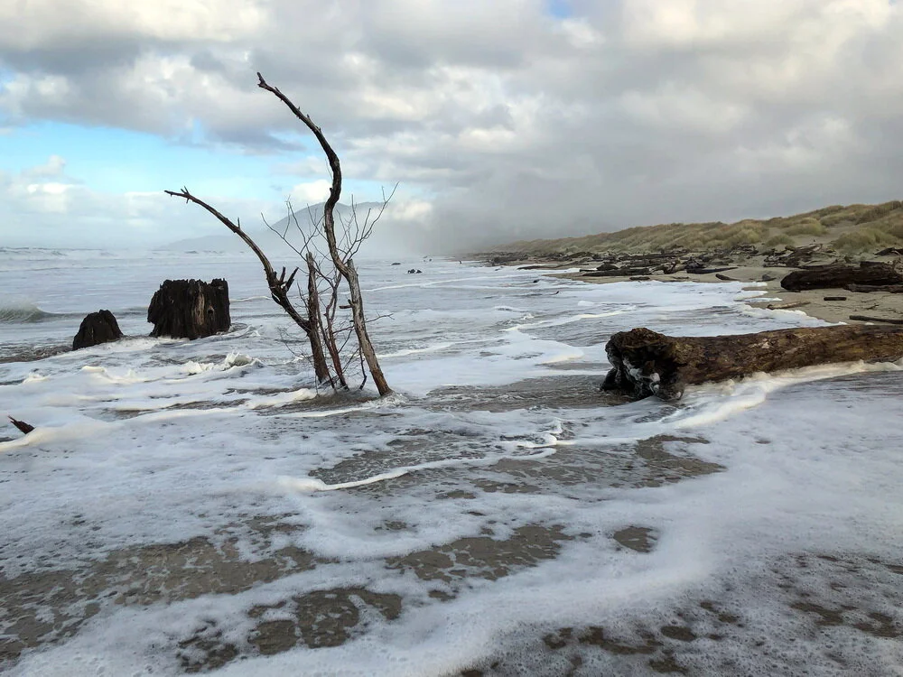 King_Tide_Nehalem_Spit_Steve_Morey2.jpg