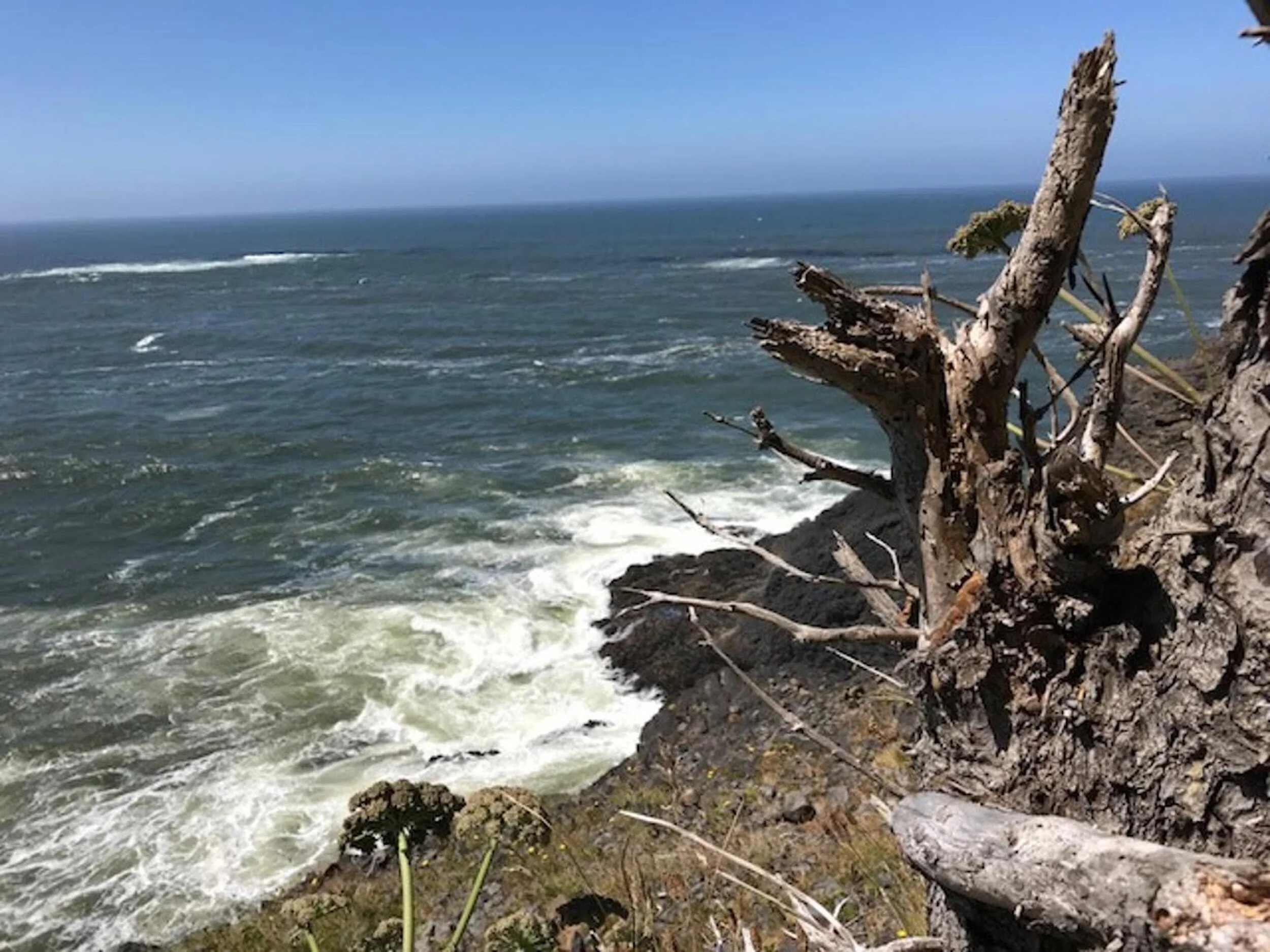 Reflecting on a rocky relationship