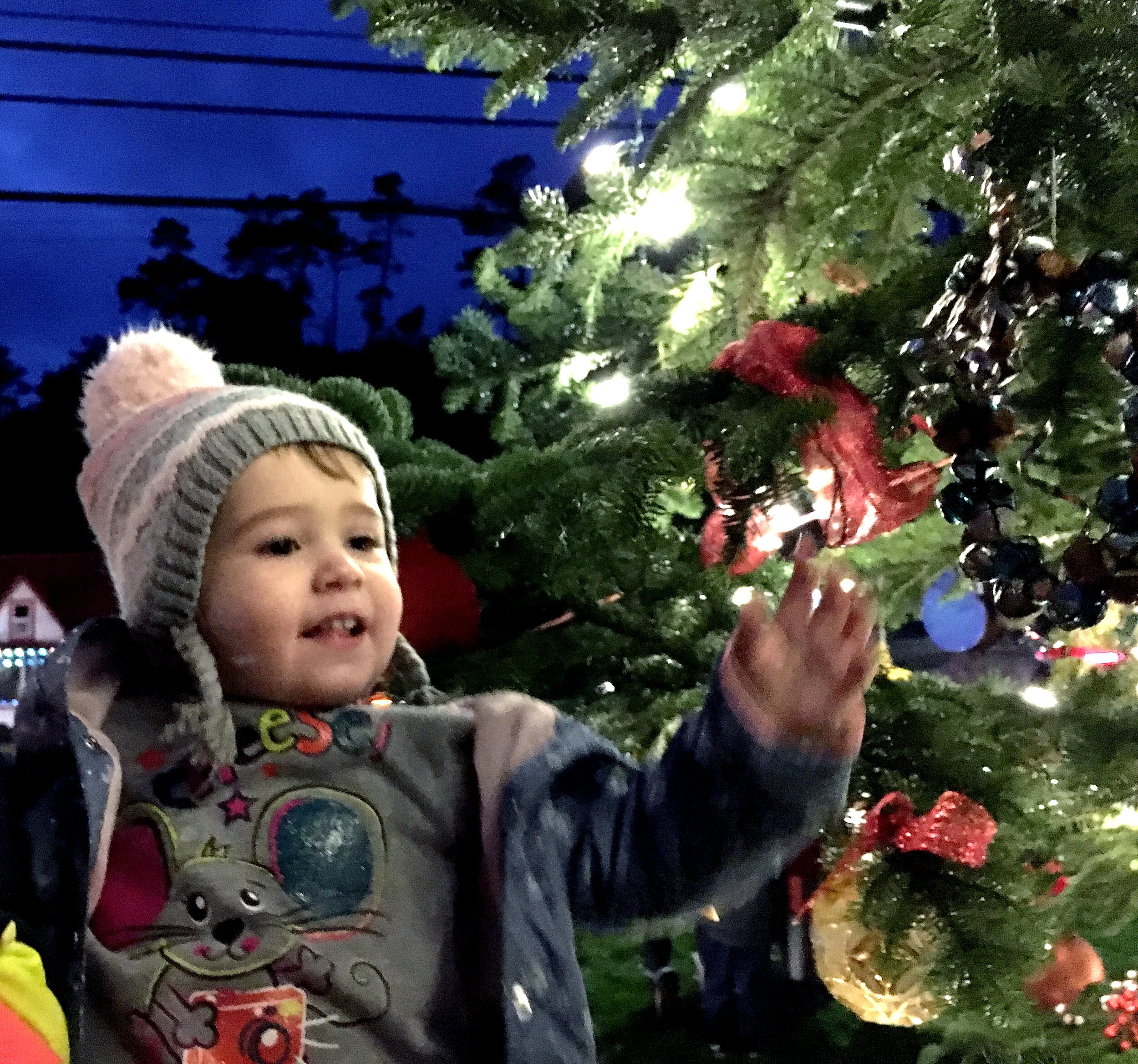 The fi-noel countdown