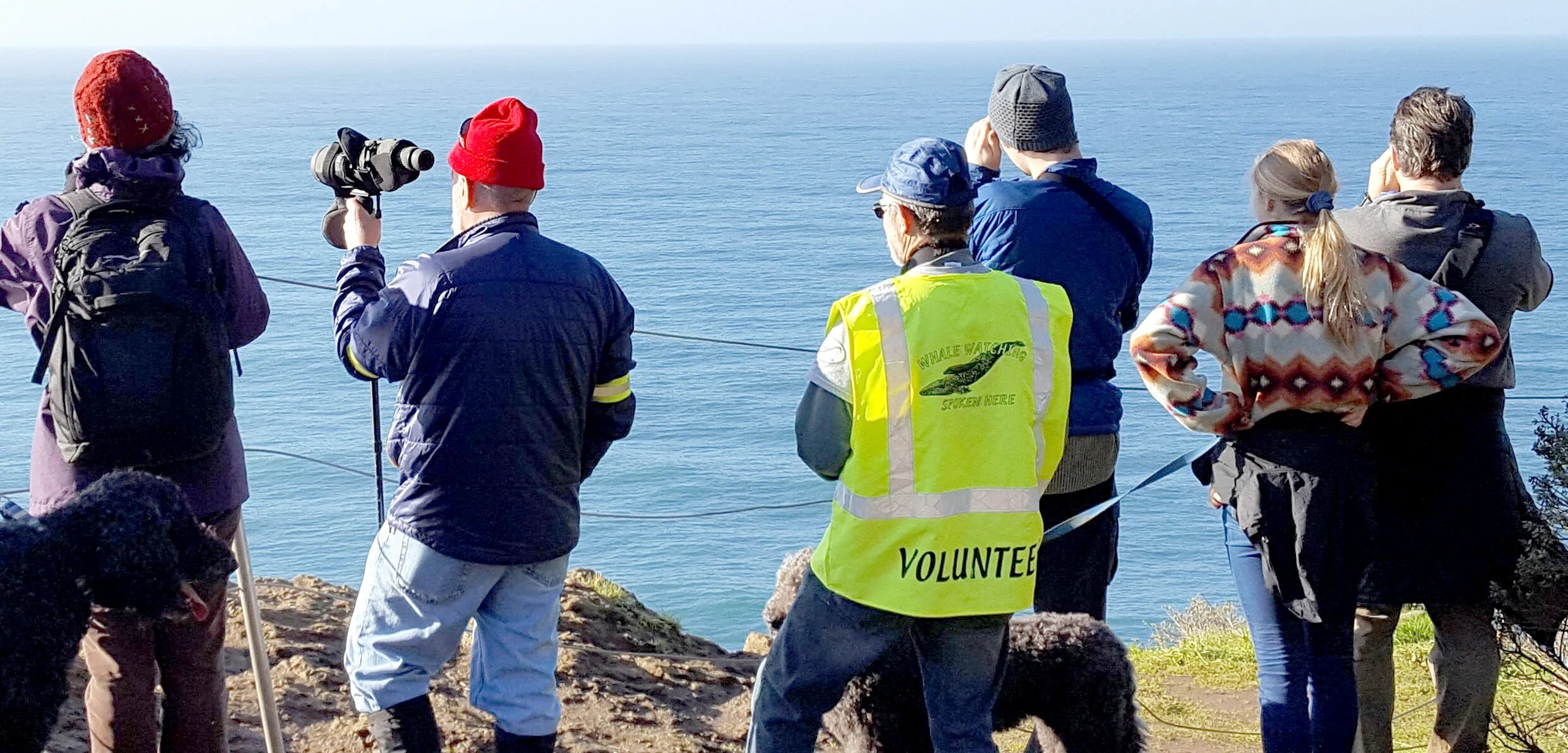 0323_OCT_Volunteers and Whale Watchers.jpg