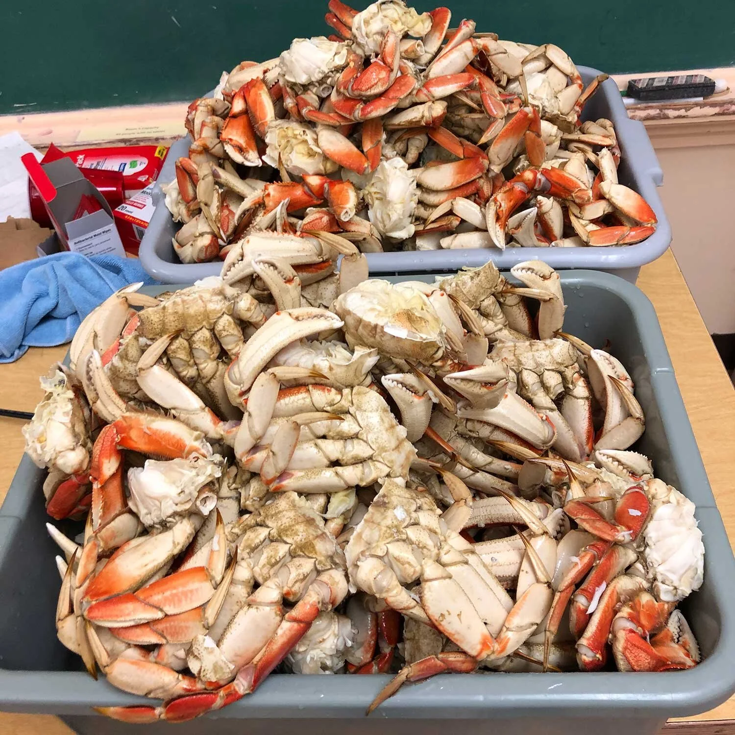 Yachats Crab Feed -2.jpg