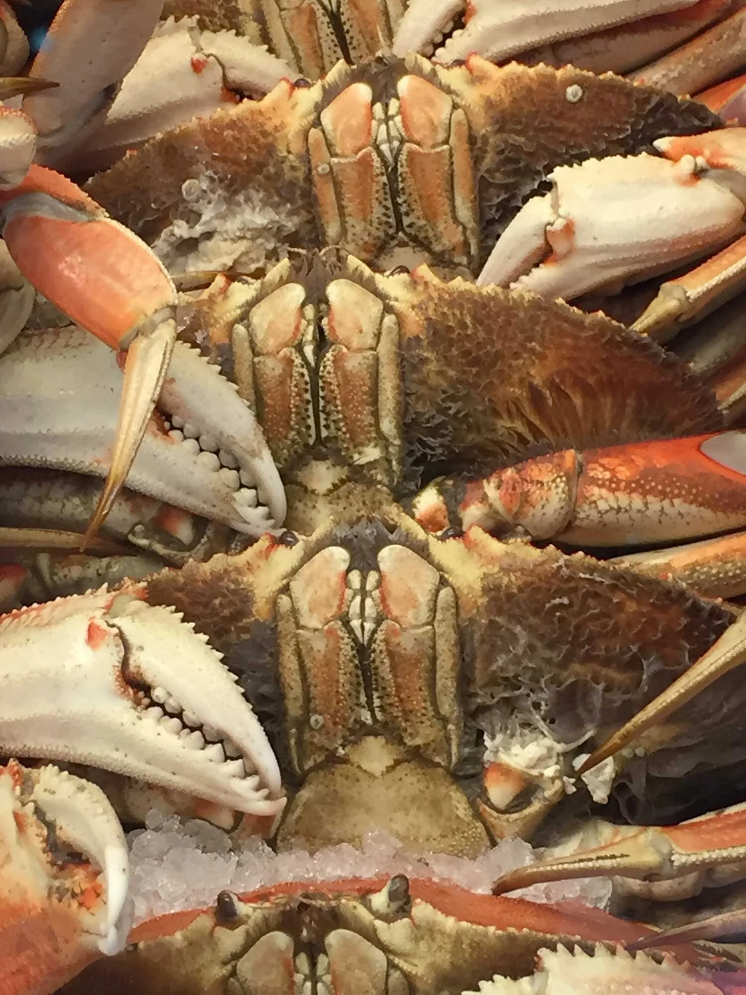 Yachats Crab Feed -1.jpg
