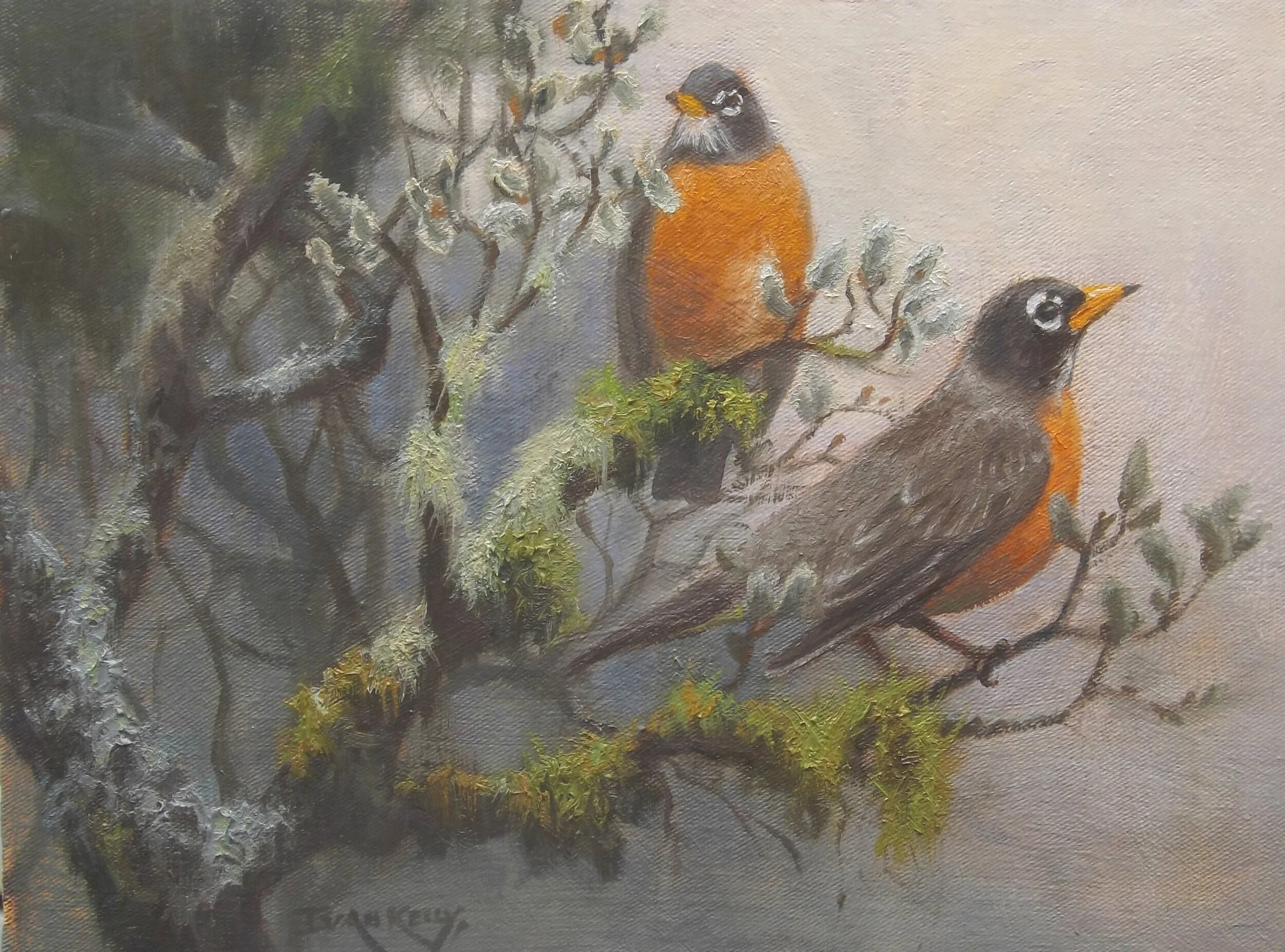 A Robin Spring. 9x12.JPG