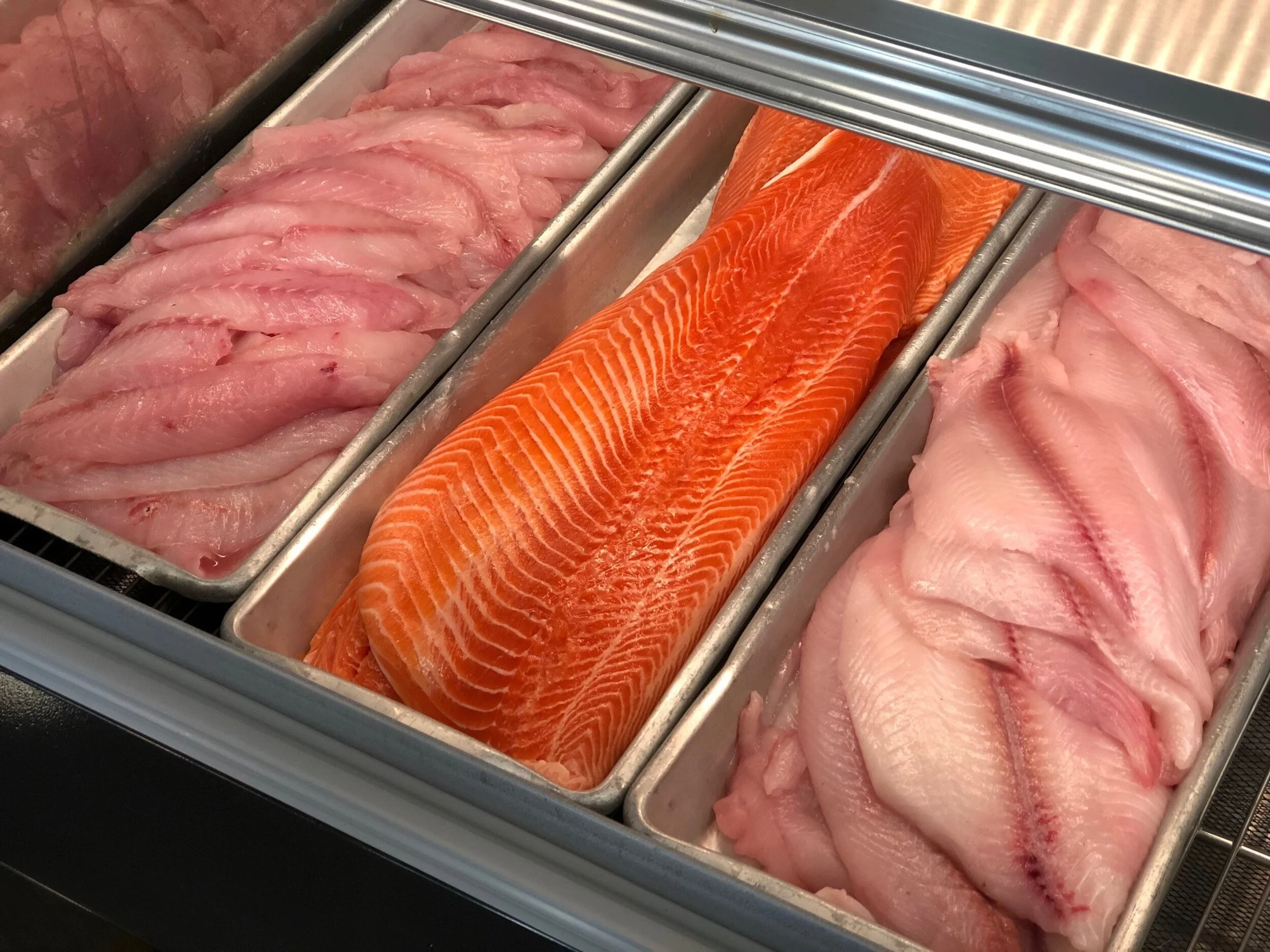freshfish(1).jpg