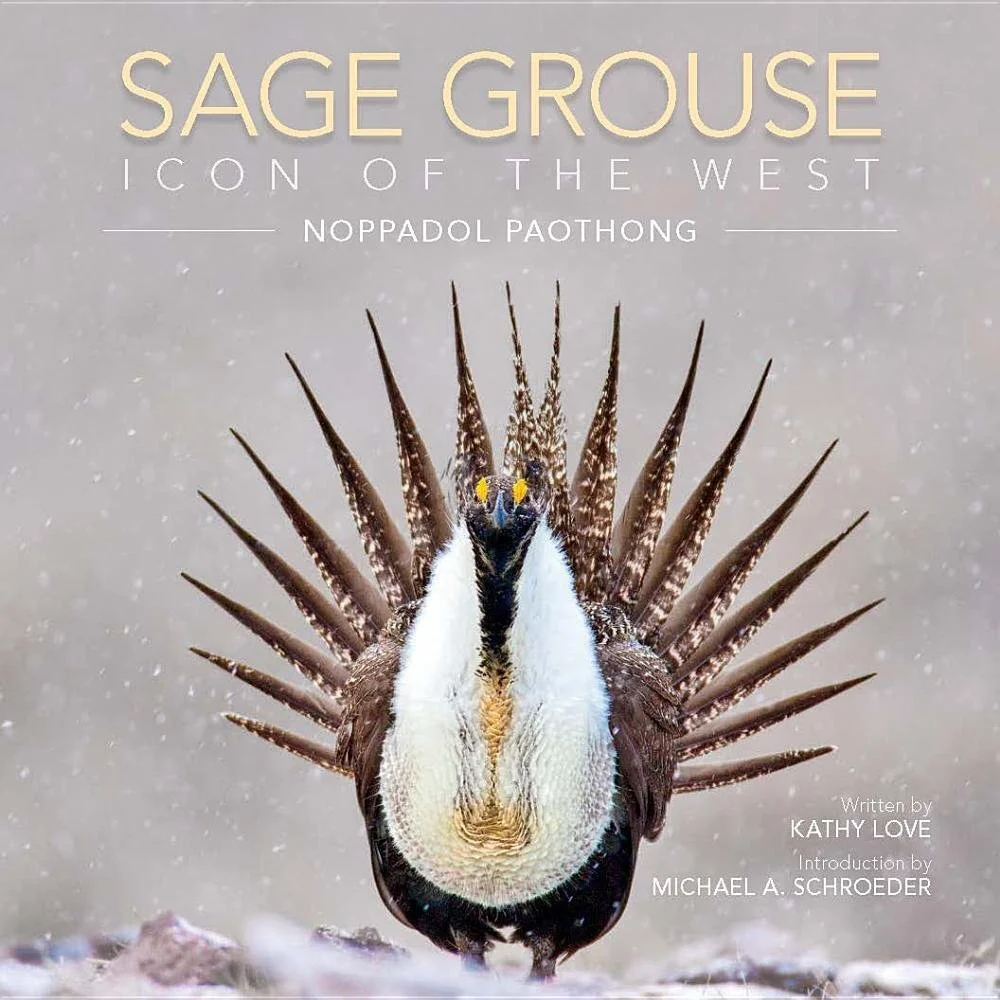 Nothing to grouse about here