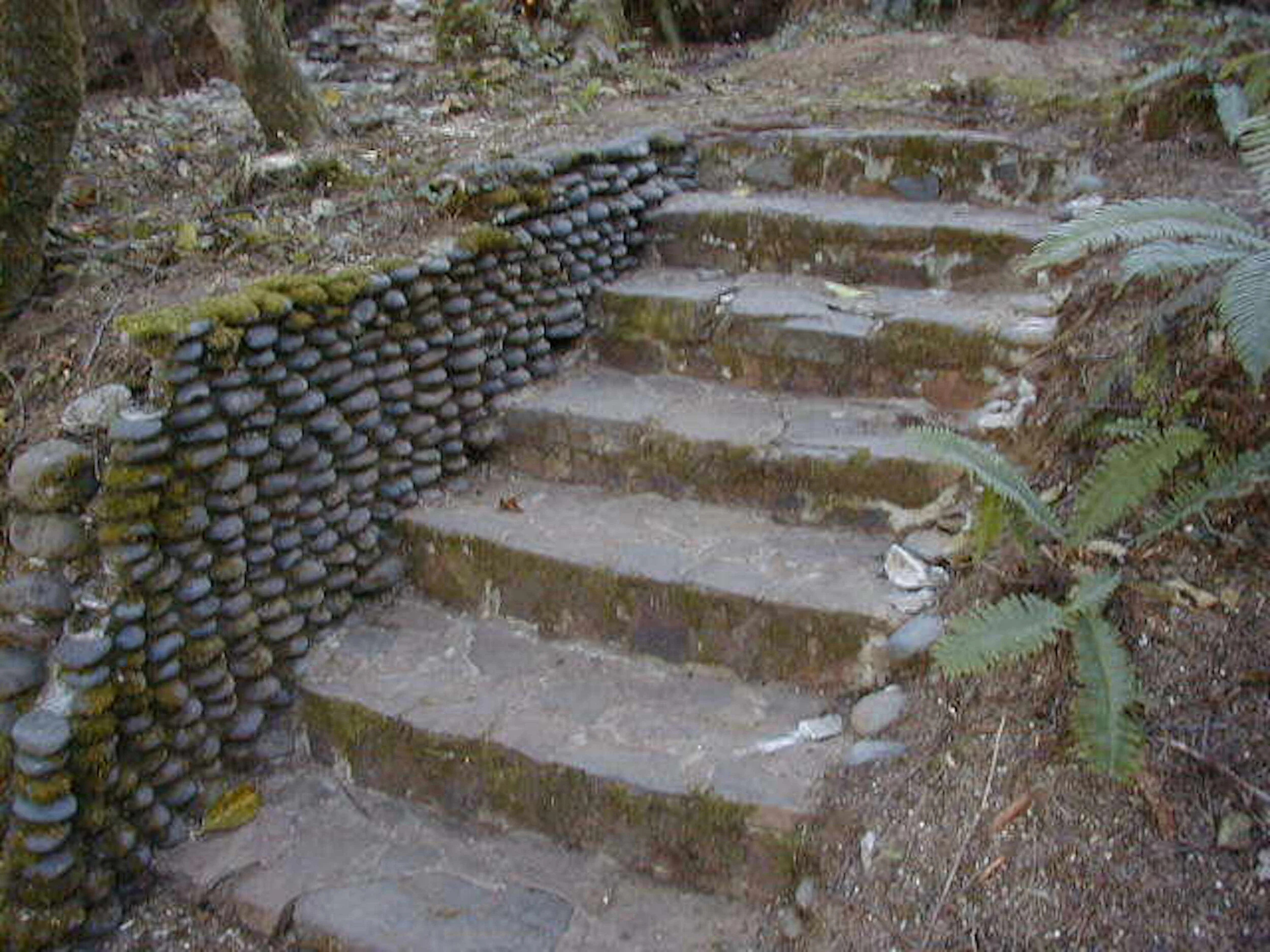 Officer_s stairway 60 deg..JPG