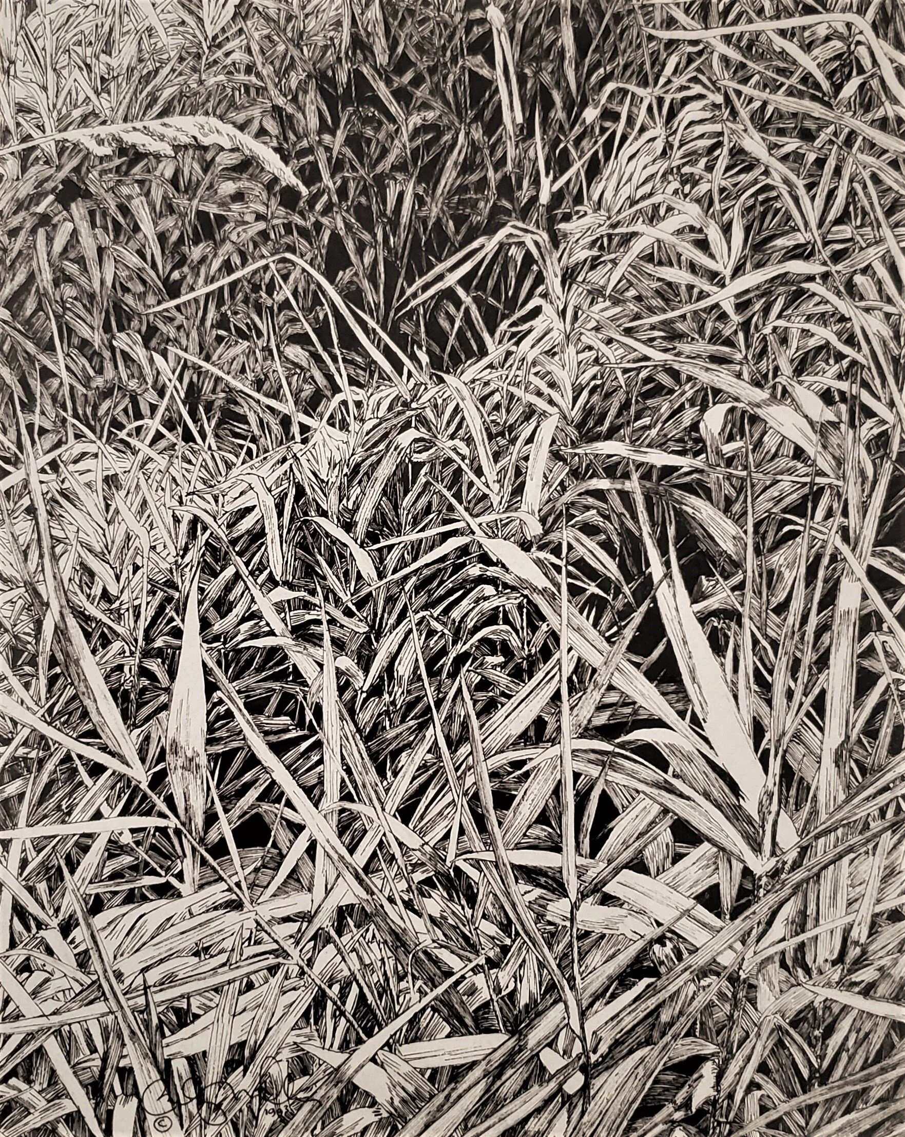 BeckyMiller_LeavesofGrass-MarAdYRMA.JPG