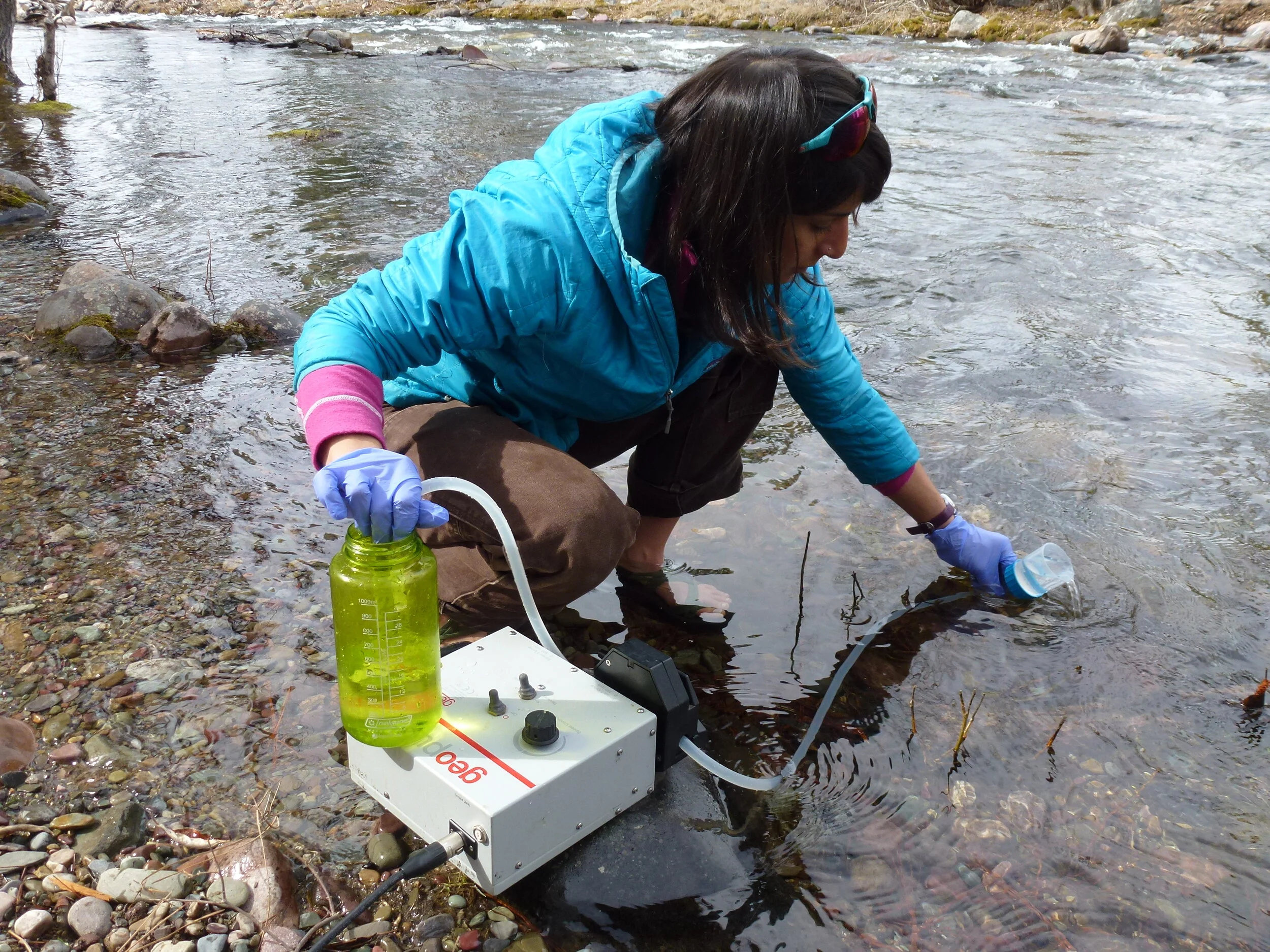 This idea is pure gene-ius