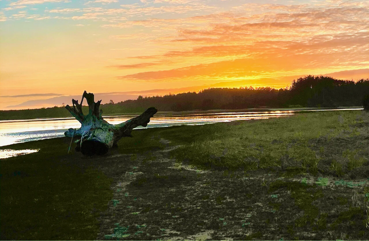 Enjoy a Whalen expedition