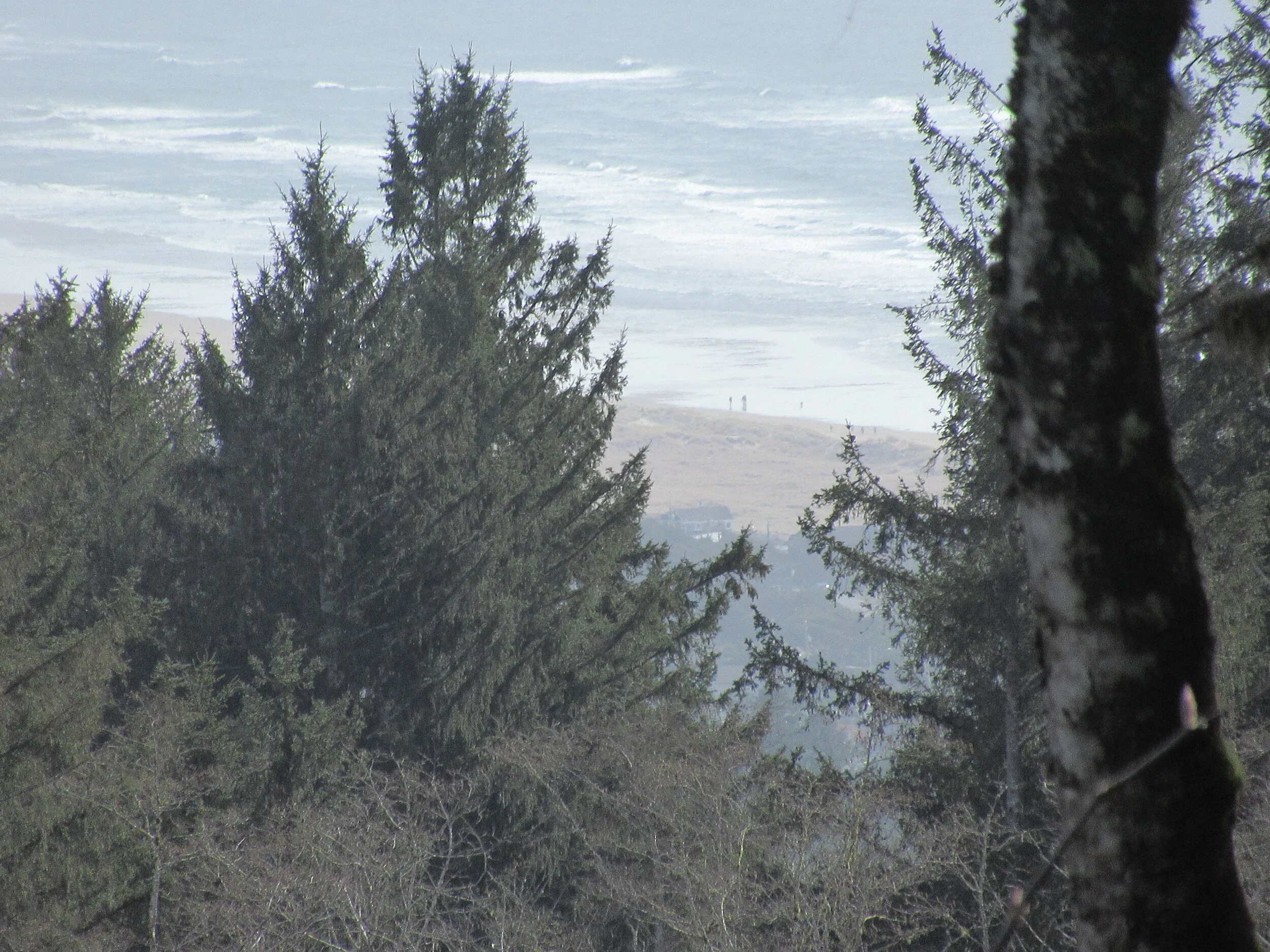 Dave’s Detours: Neahkahnie Mountain