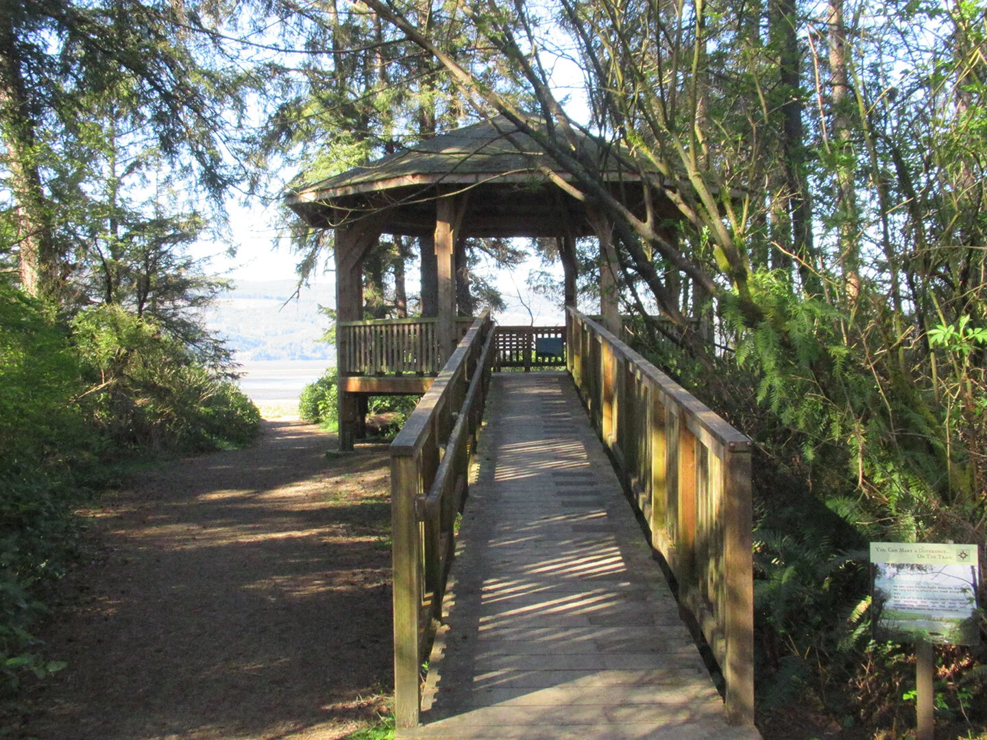 Dave’s Detours: Kilchis Point 