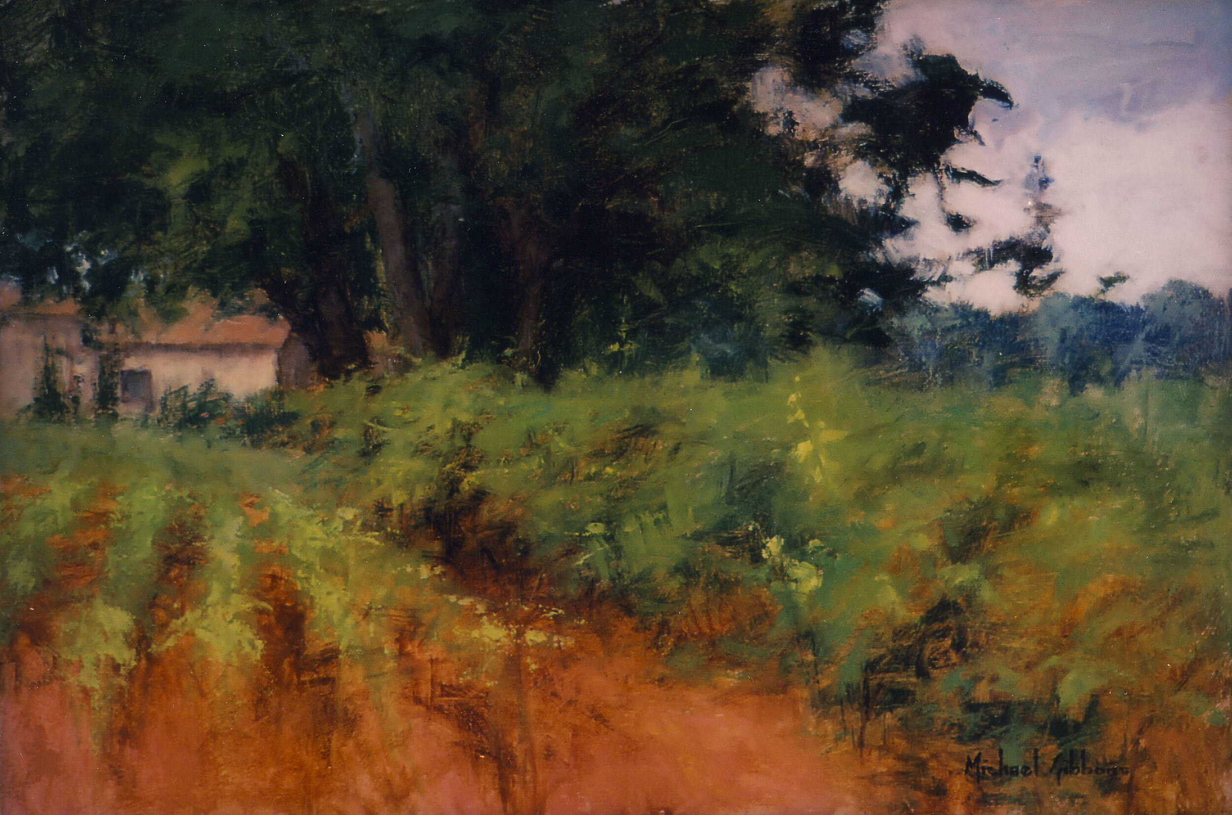 Vineyard Landscape 12x18 t.jpg