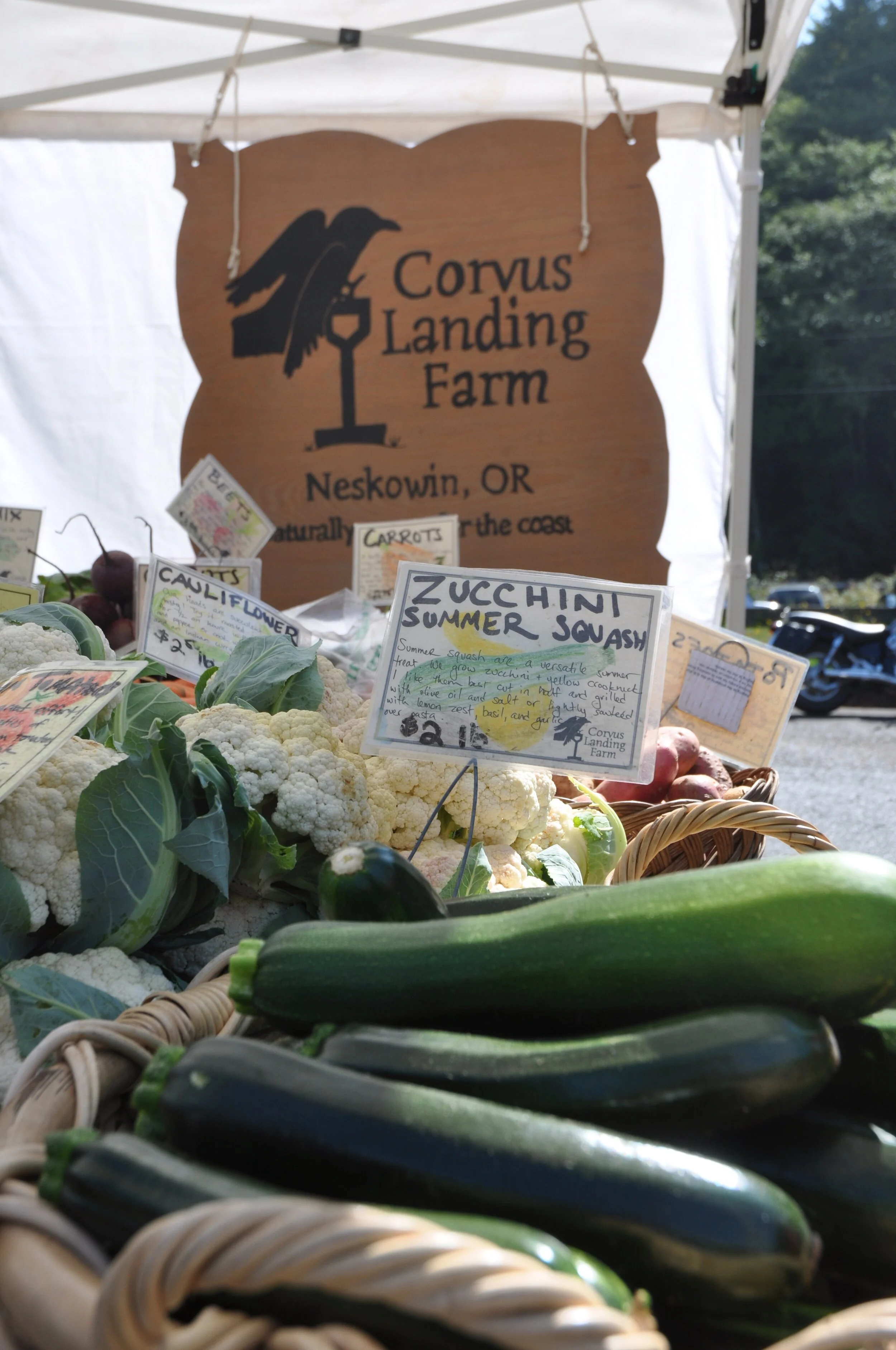 Find inner peas at Neskowin Farmers Market
