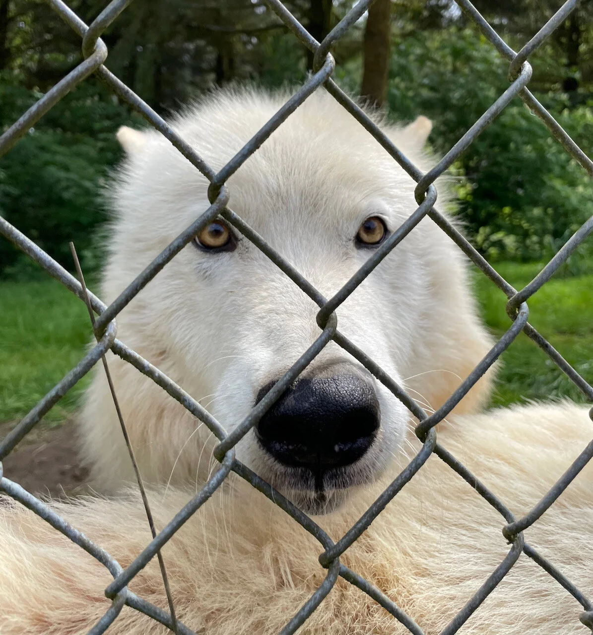 Howl you spend your weekend?