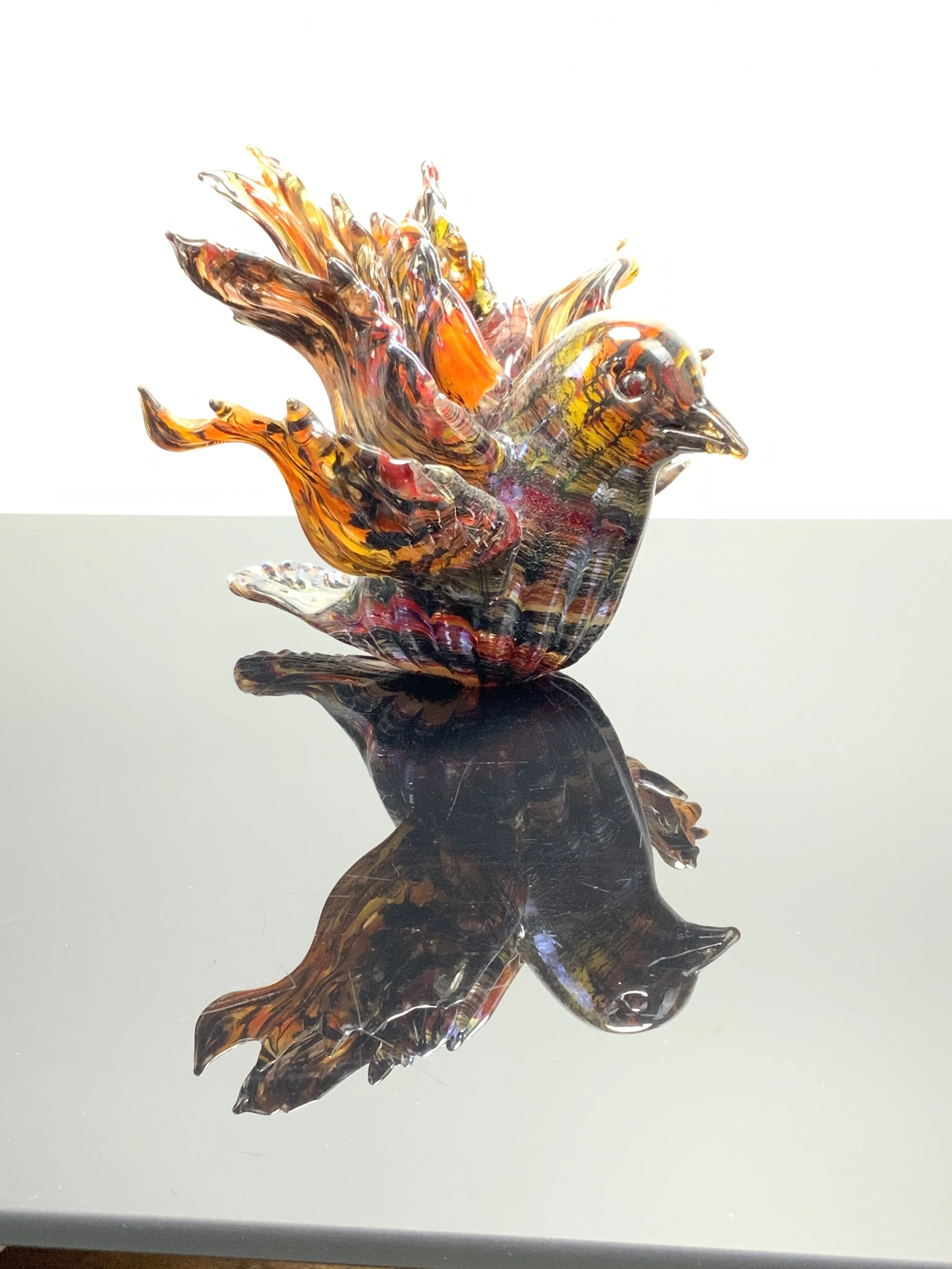 An Echo-friendly fund-raiser