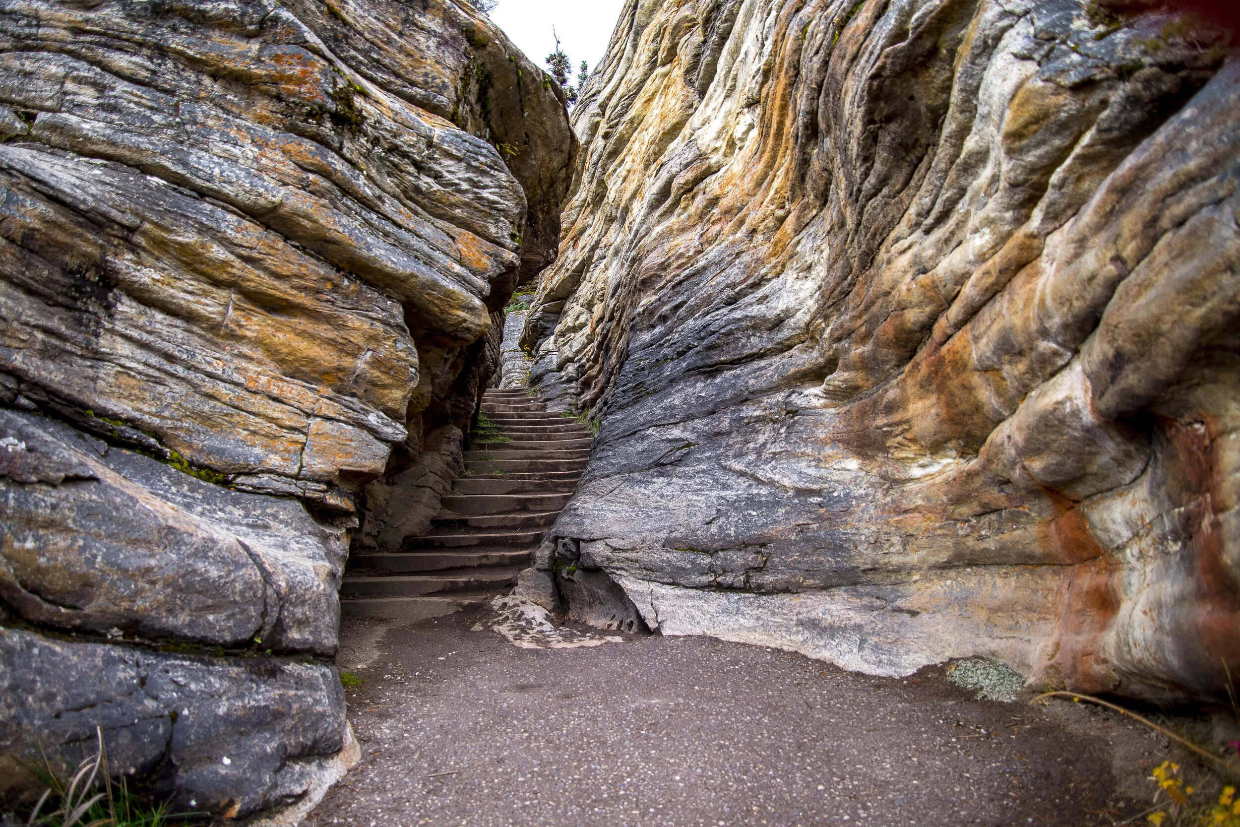 Dennis White Athabasca Falls.jpg