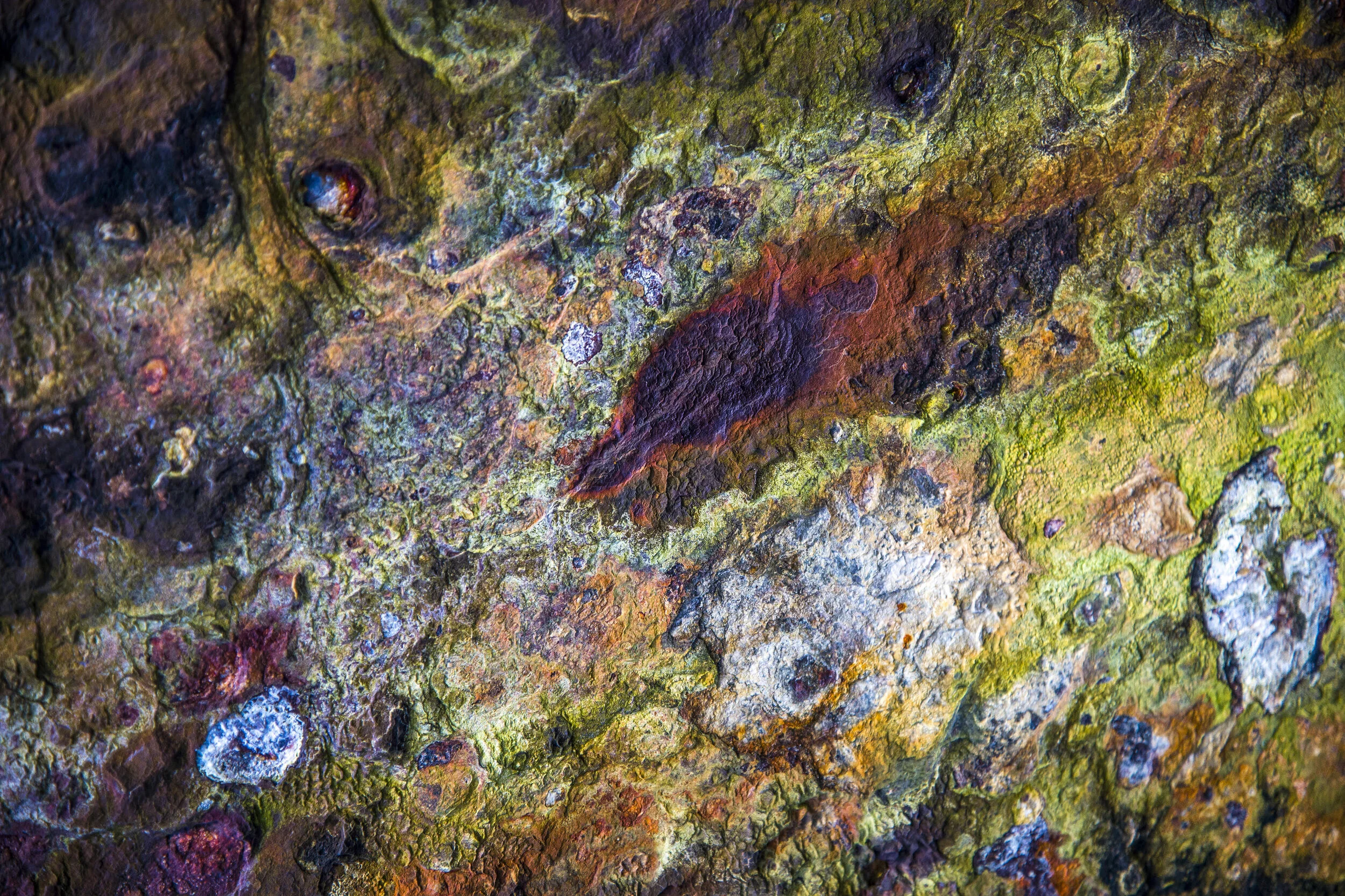 A well-grounded art show