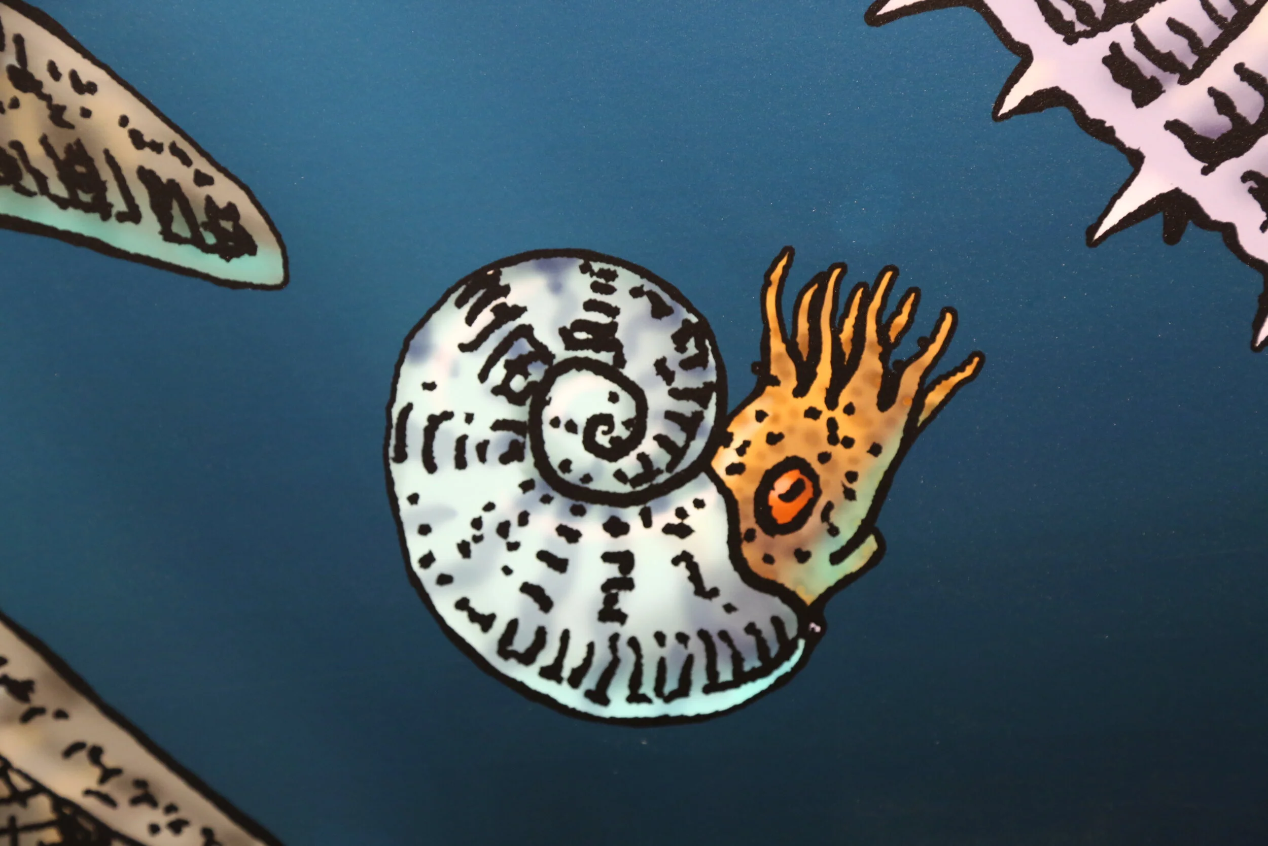 Troll Artwork - Nautilus.JPG