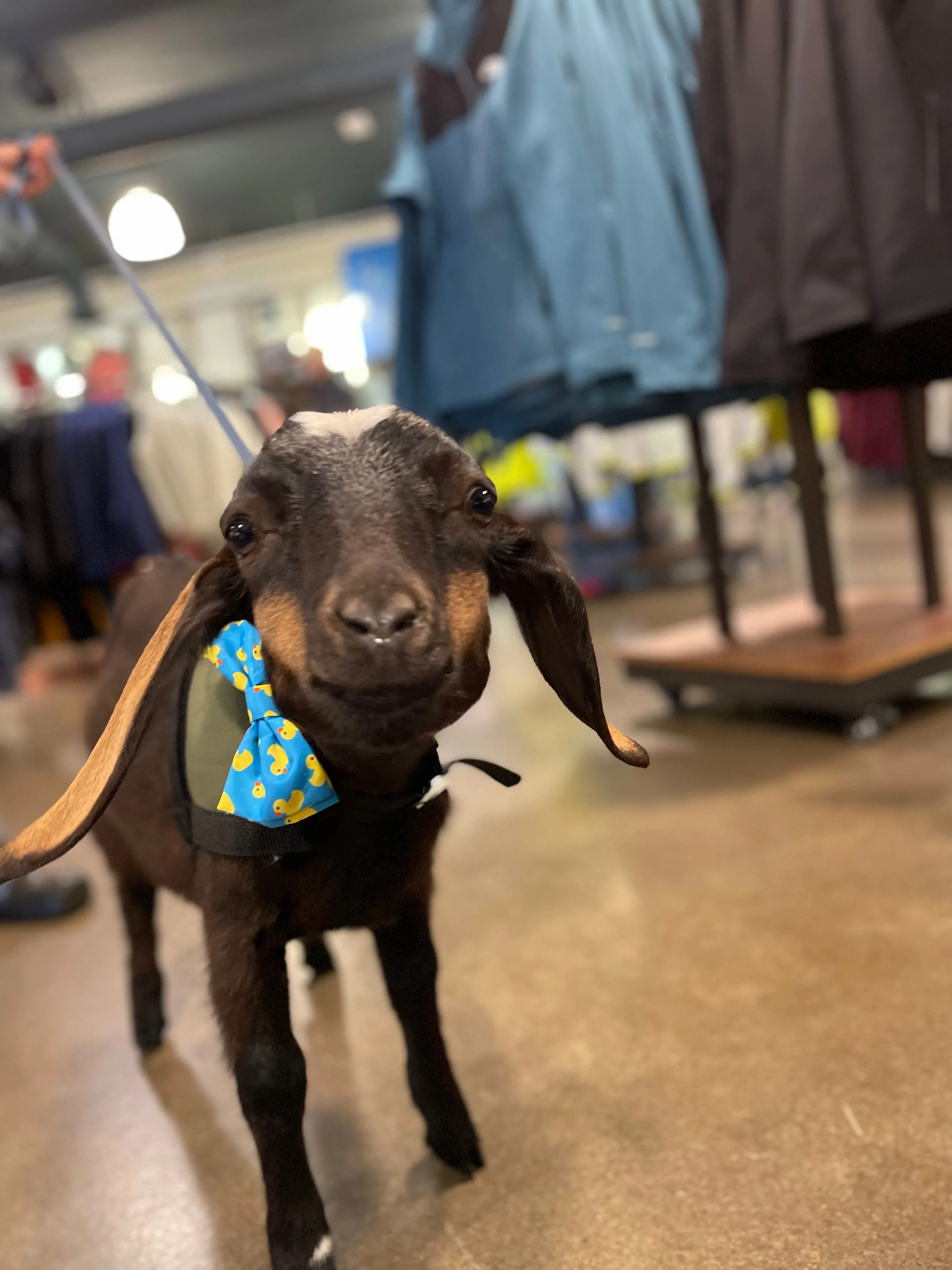 This column is the G.O.A.T.