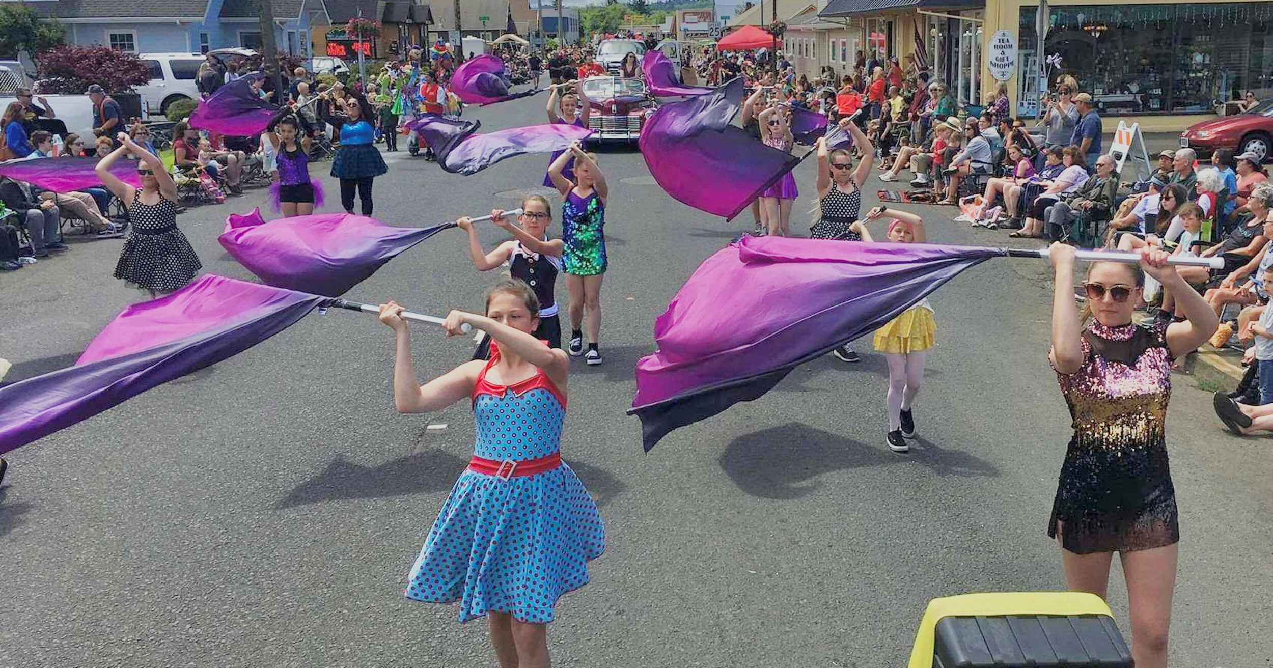 Dairy Parade flags - 1.jpeg