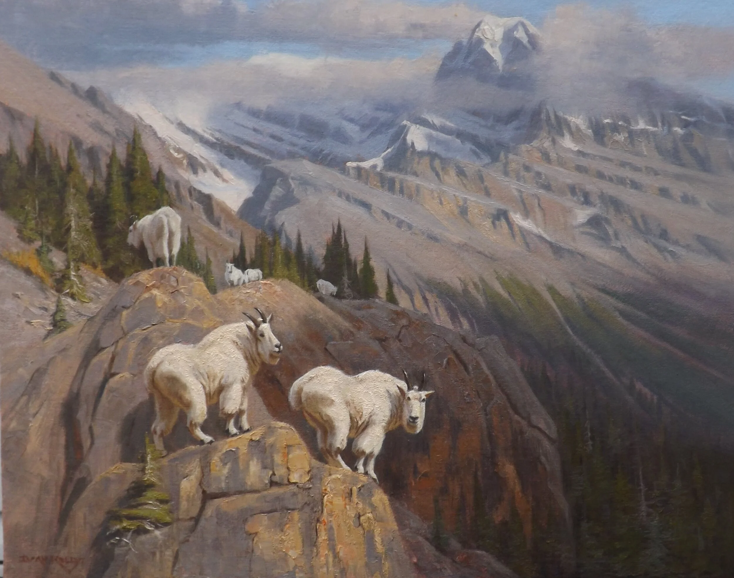 Cliff Dwellers,Mountain Goats.24x30..JPG