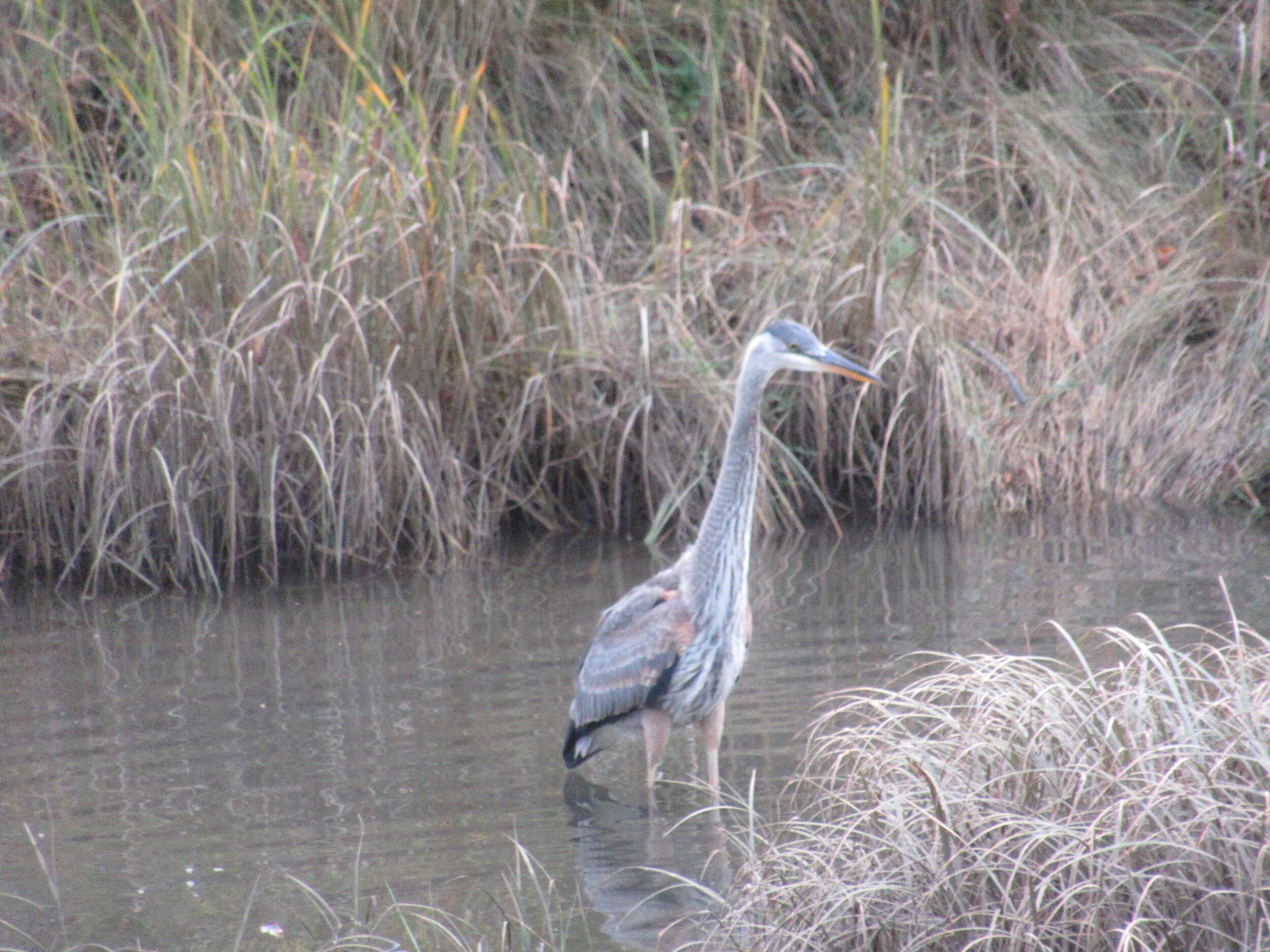 Dave’s Detours: Siletz Bay