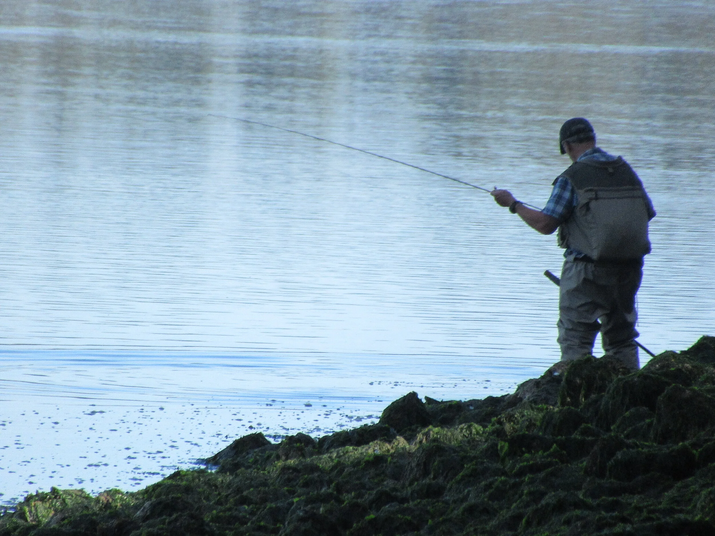 IMG_1495=Fisher.JPG