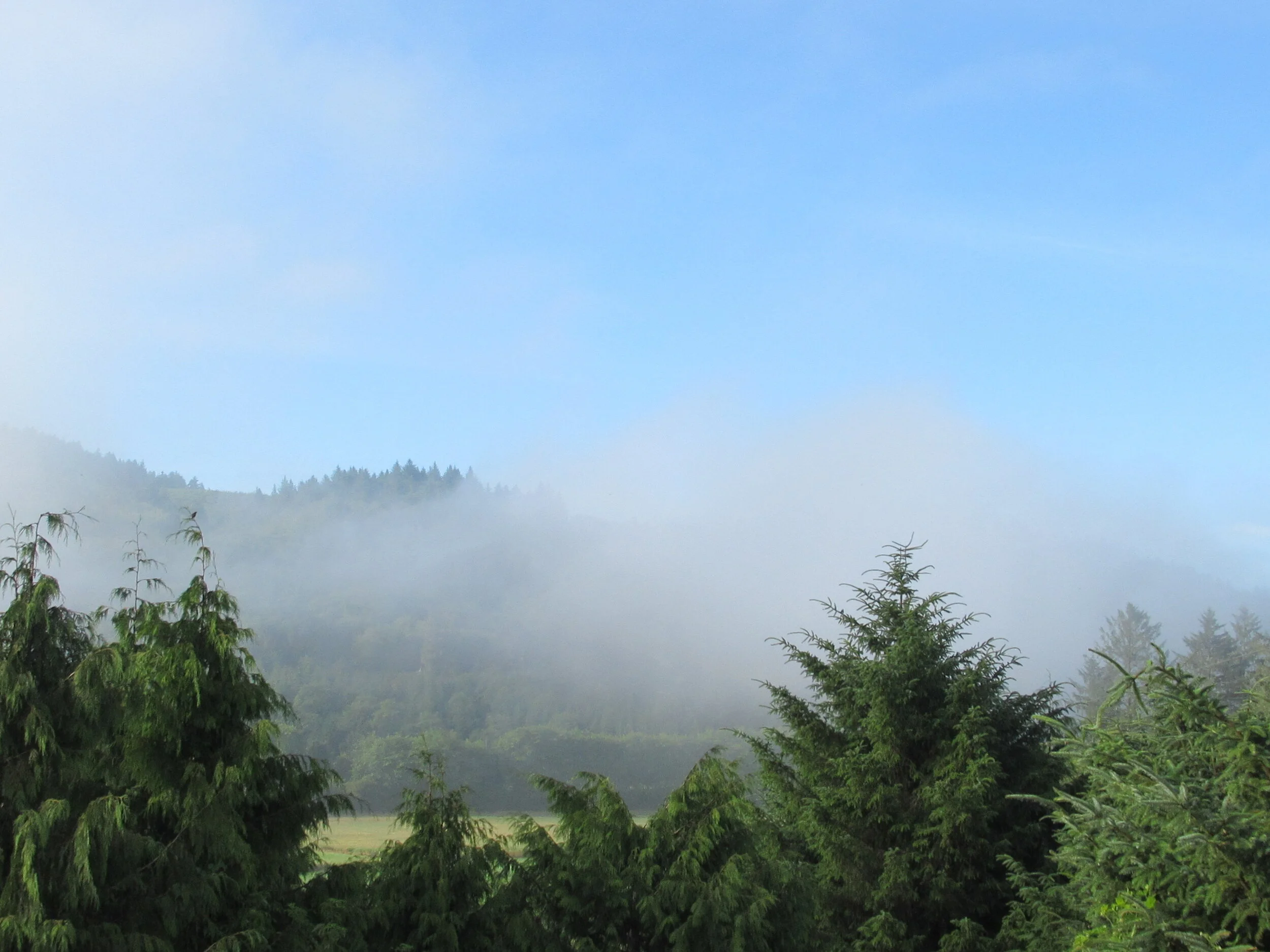 Dave’s Detours: Nestucca Bay