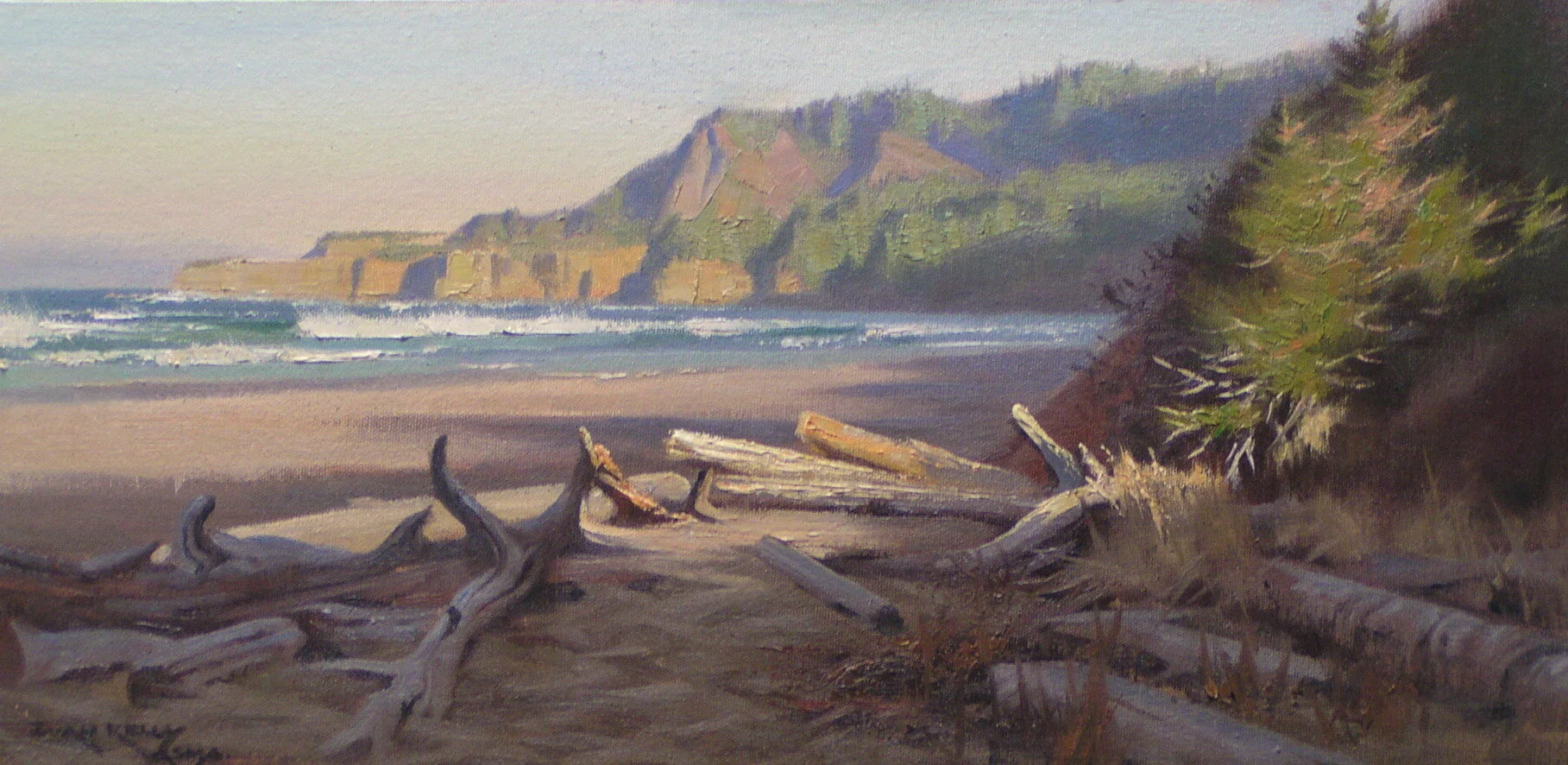 Driftwood Morning. 10 x 20.JPG