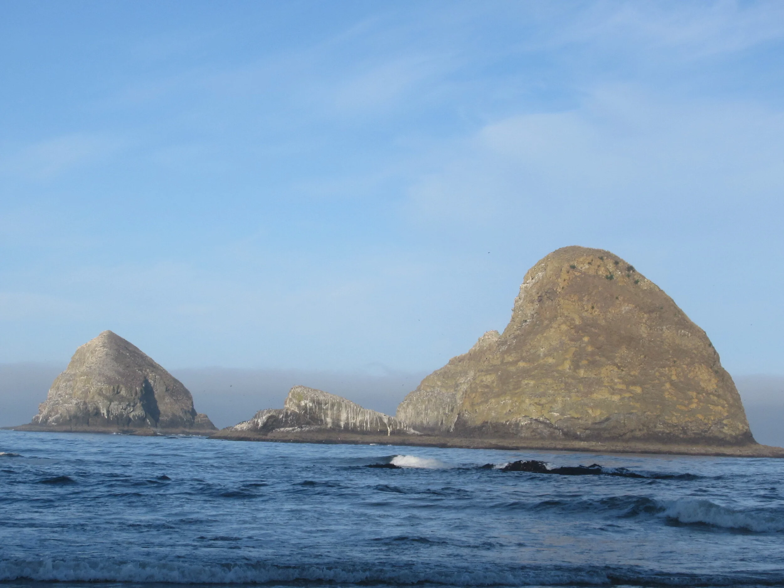 Dave’s Detours: Oceanside