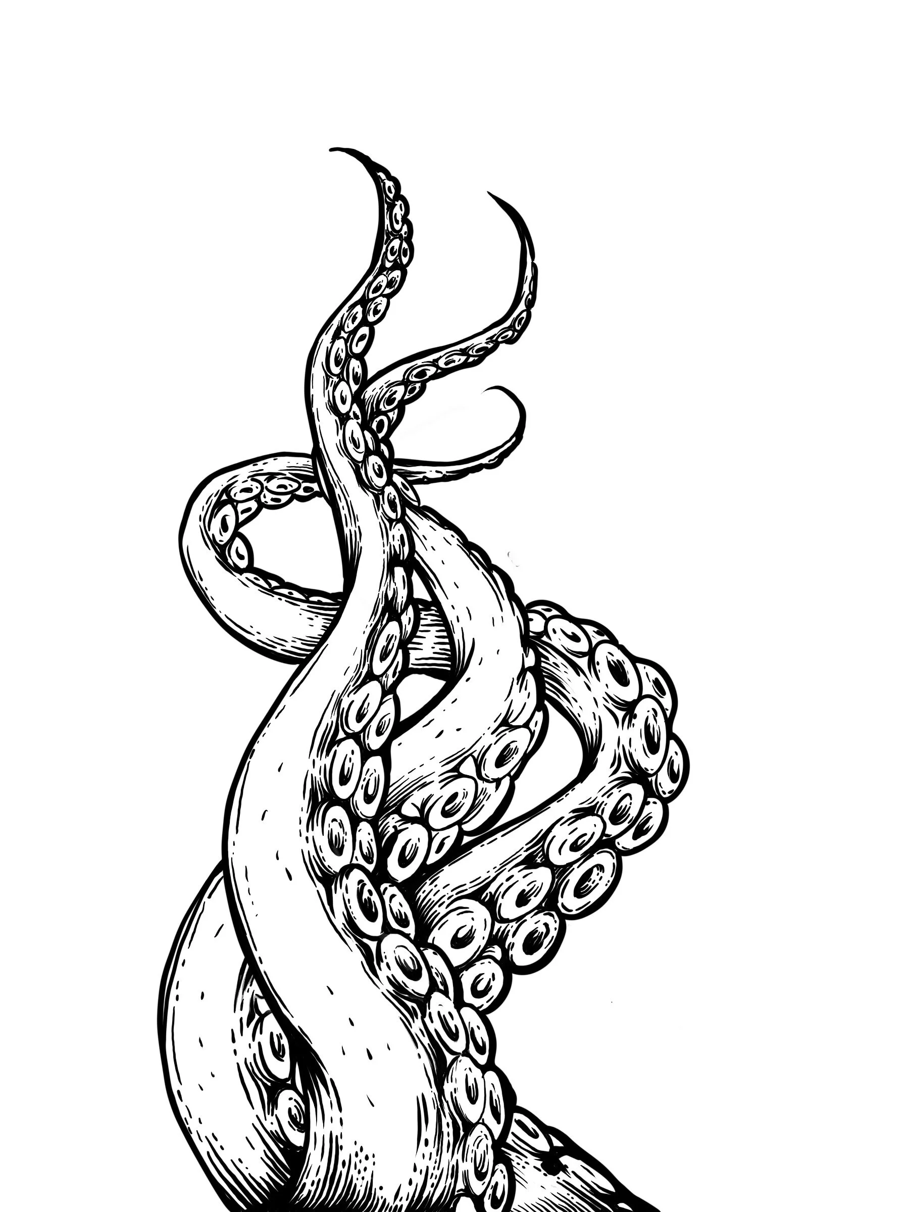 Get wrapped up in the Squid