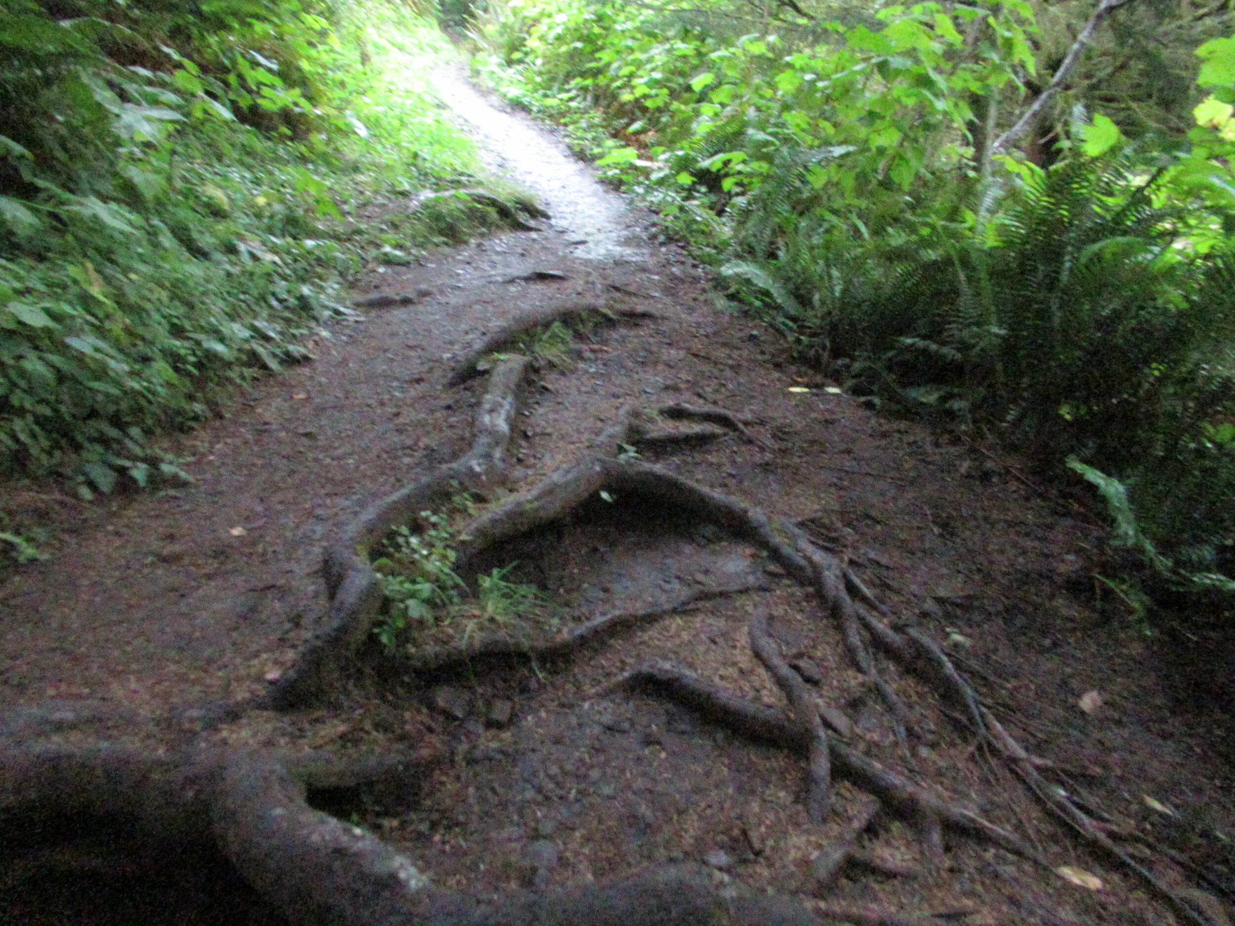 The root of the problem