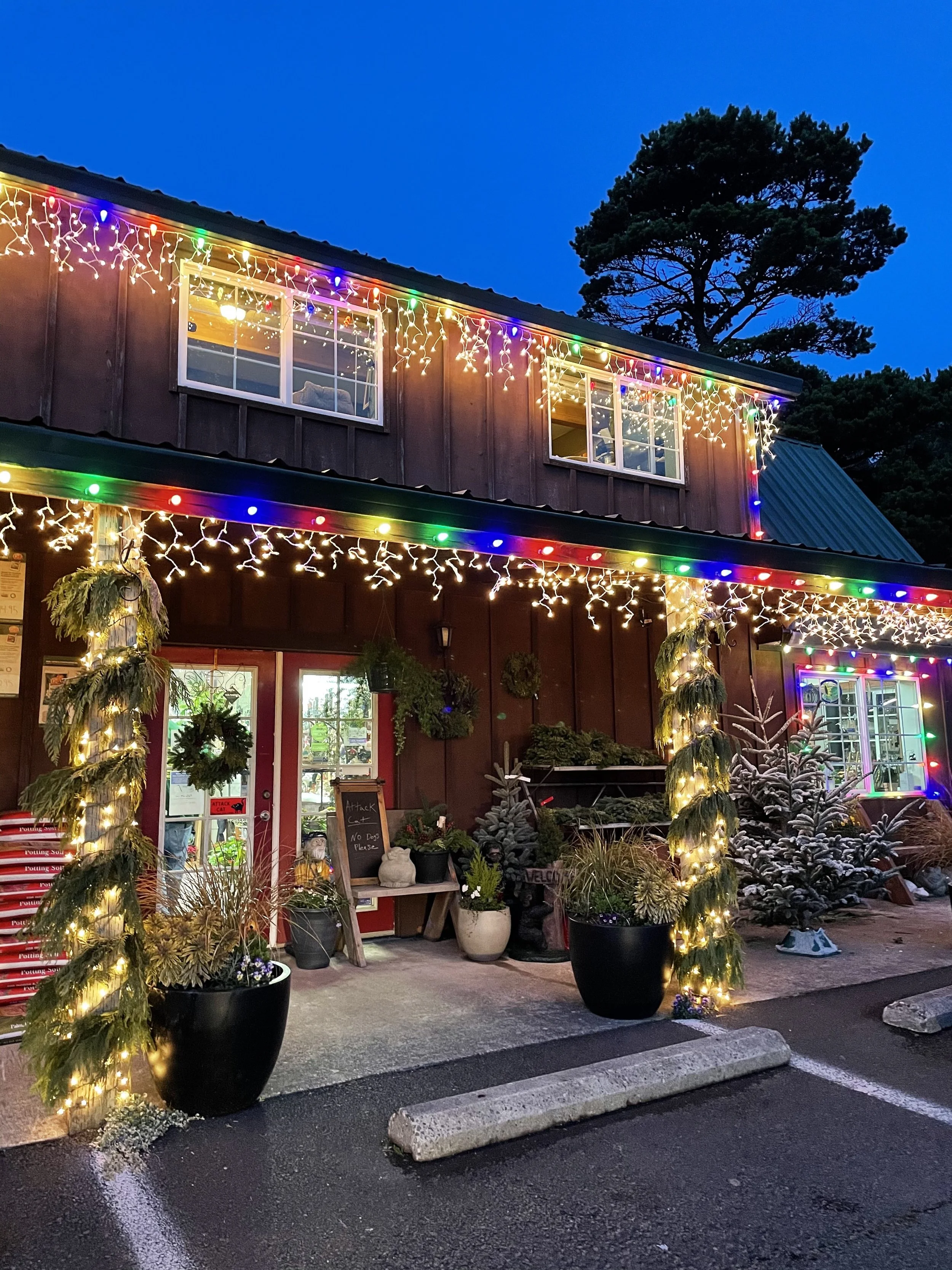 Get amped up for the holidays