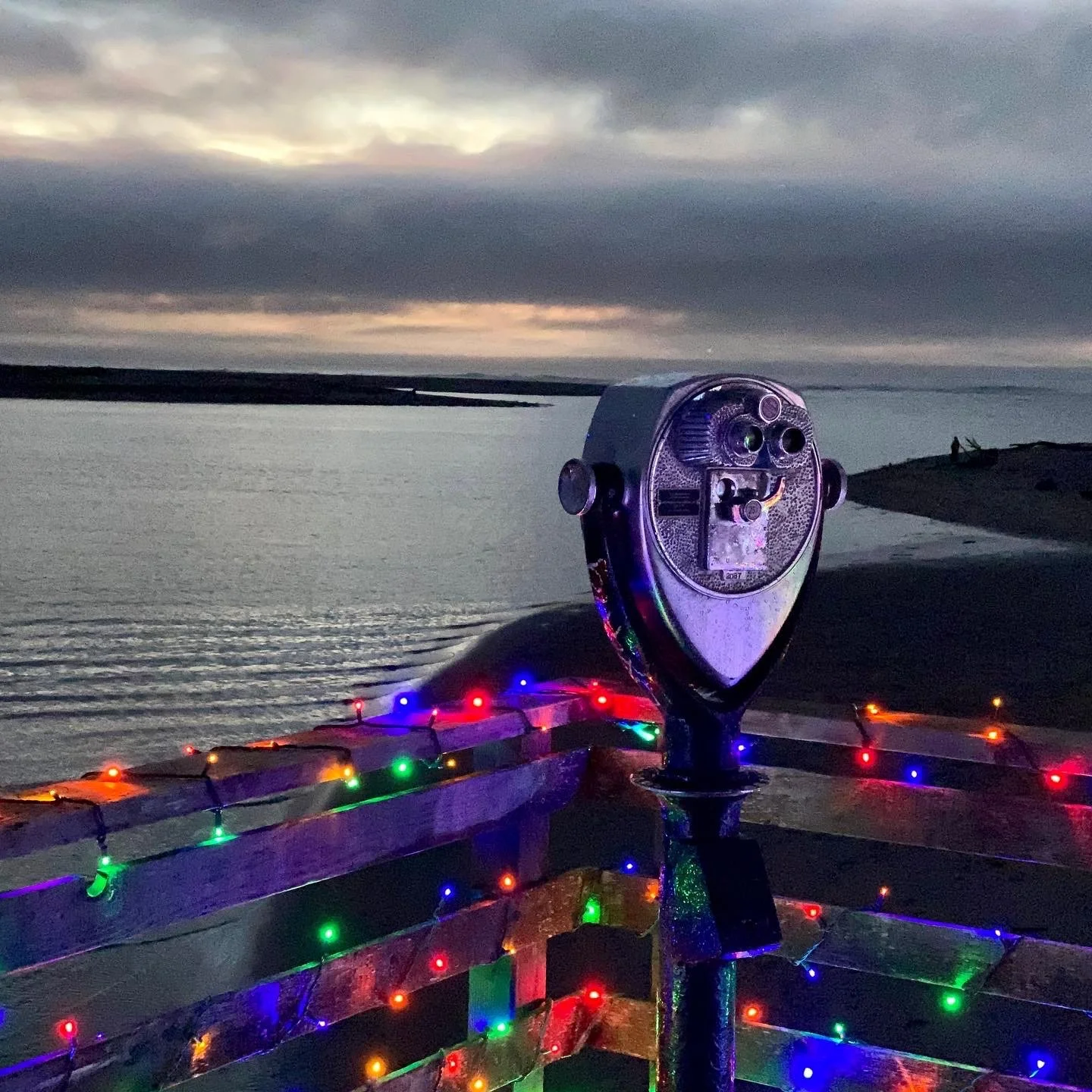 Focus on holiday lights