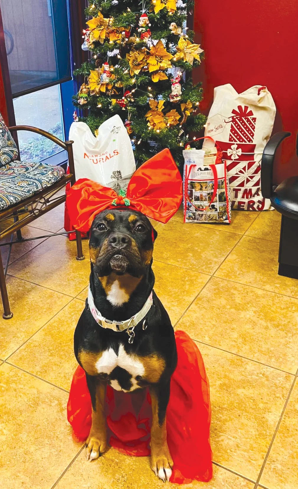 Happy Howlidays