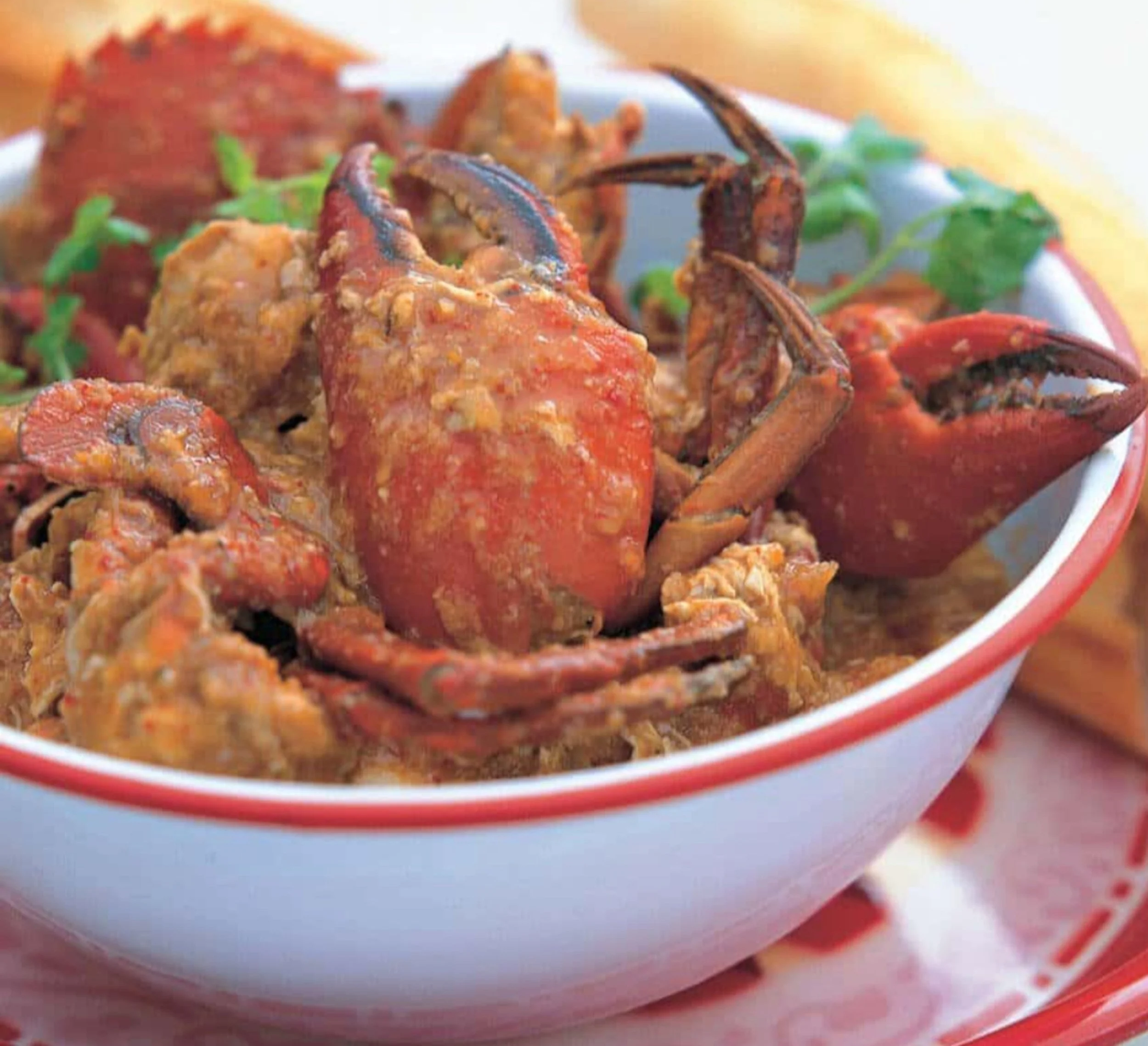 Crab life with both hands