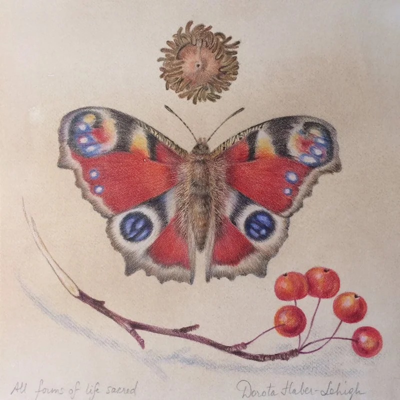 Learn some fuzzy logic