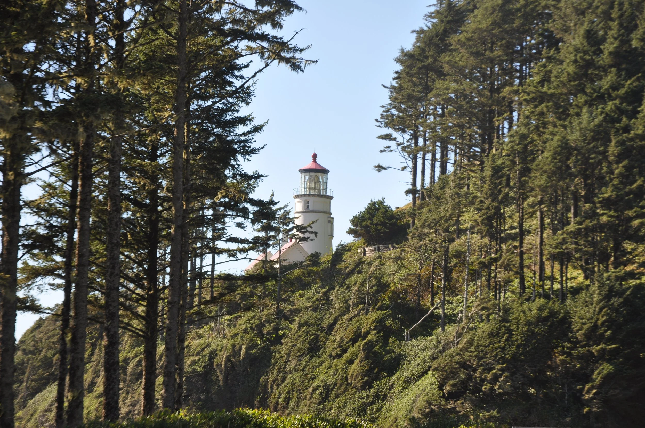 DSC_0009.jpg