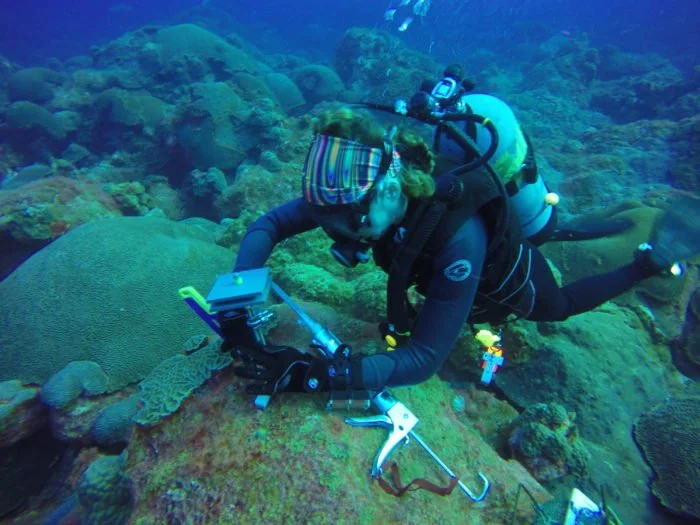 A deep dive into climate change