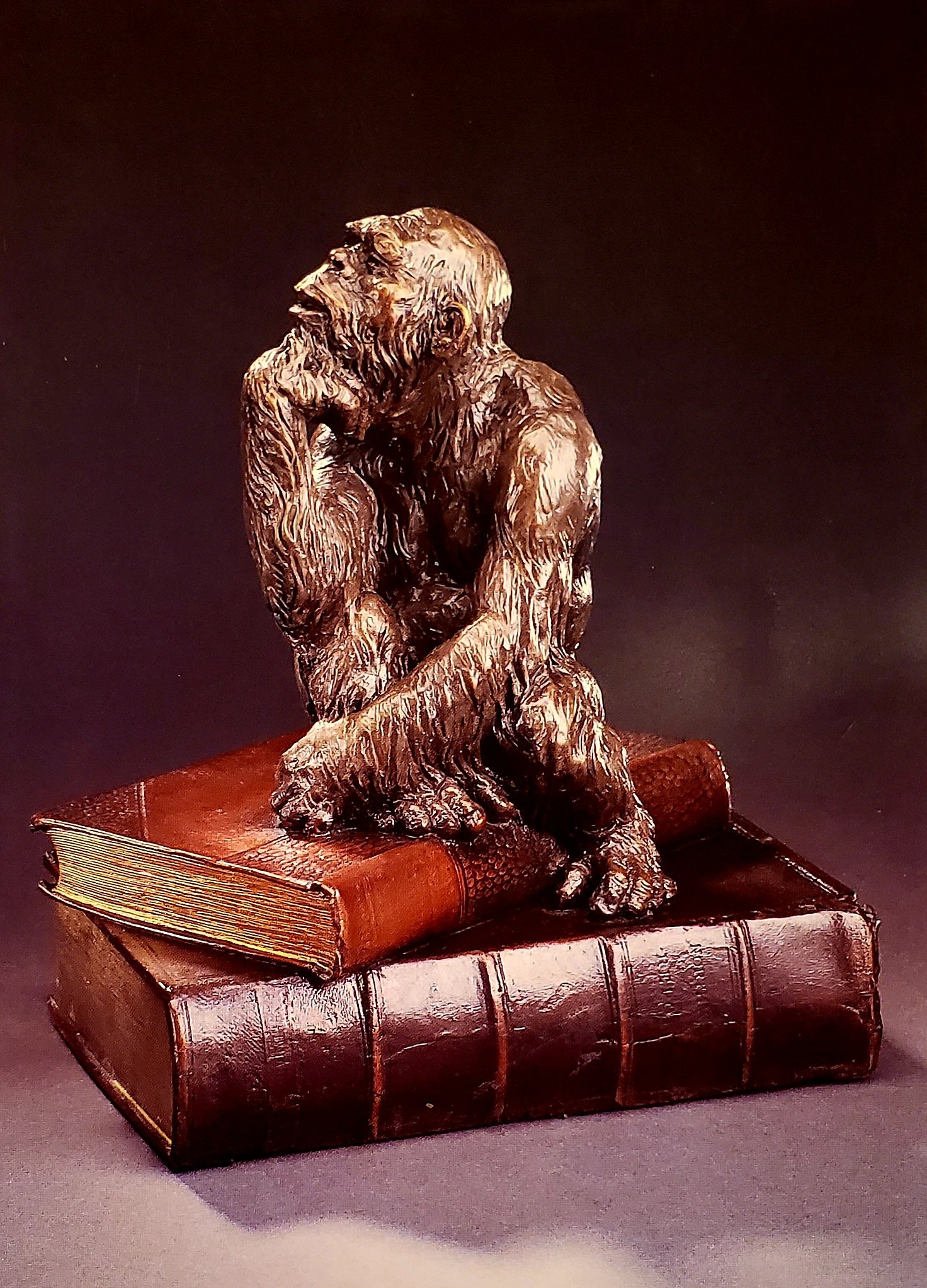 PrimalKnowledge-MartinEichinger.jpg
