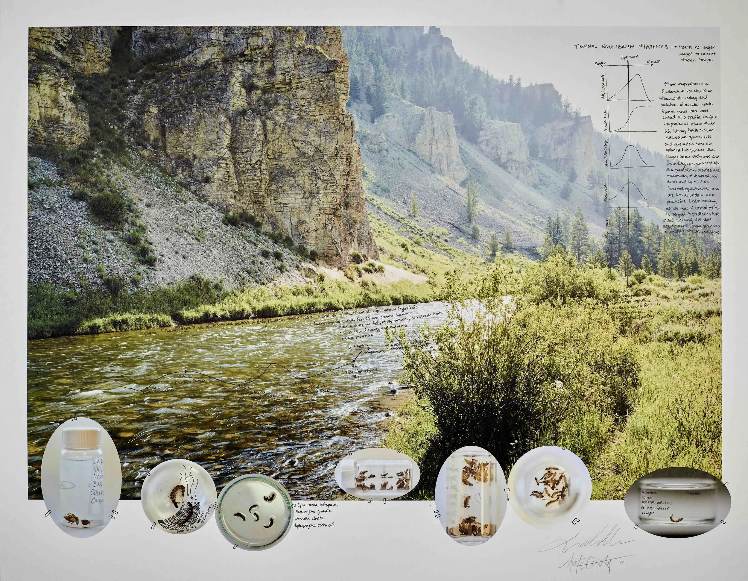 An exhibit of note(s)