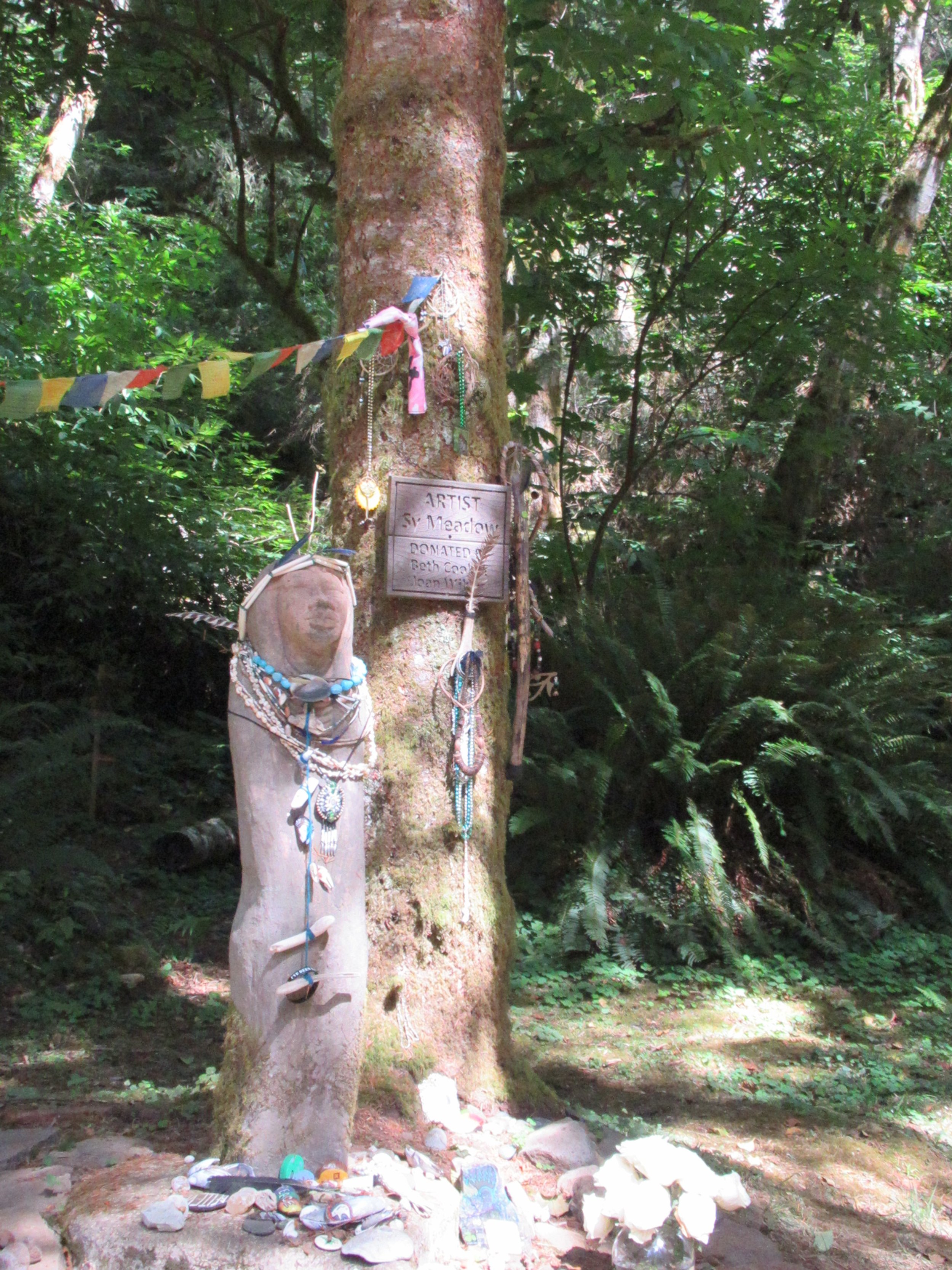 Dave’s Detours: The Amanda Trail